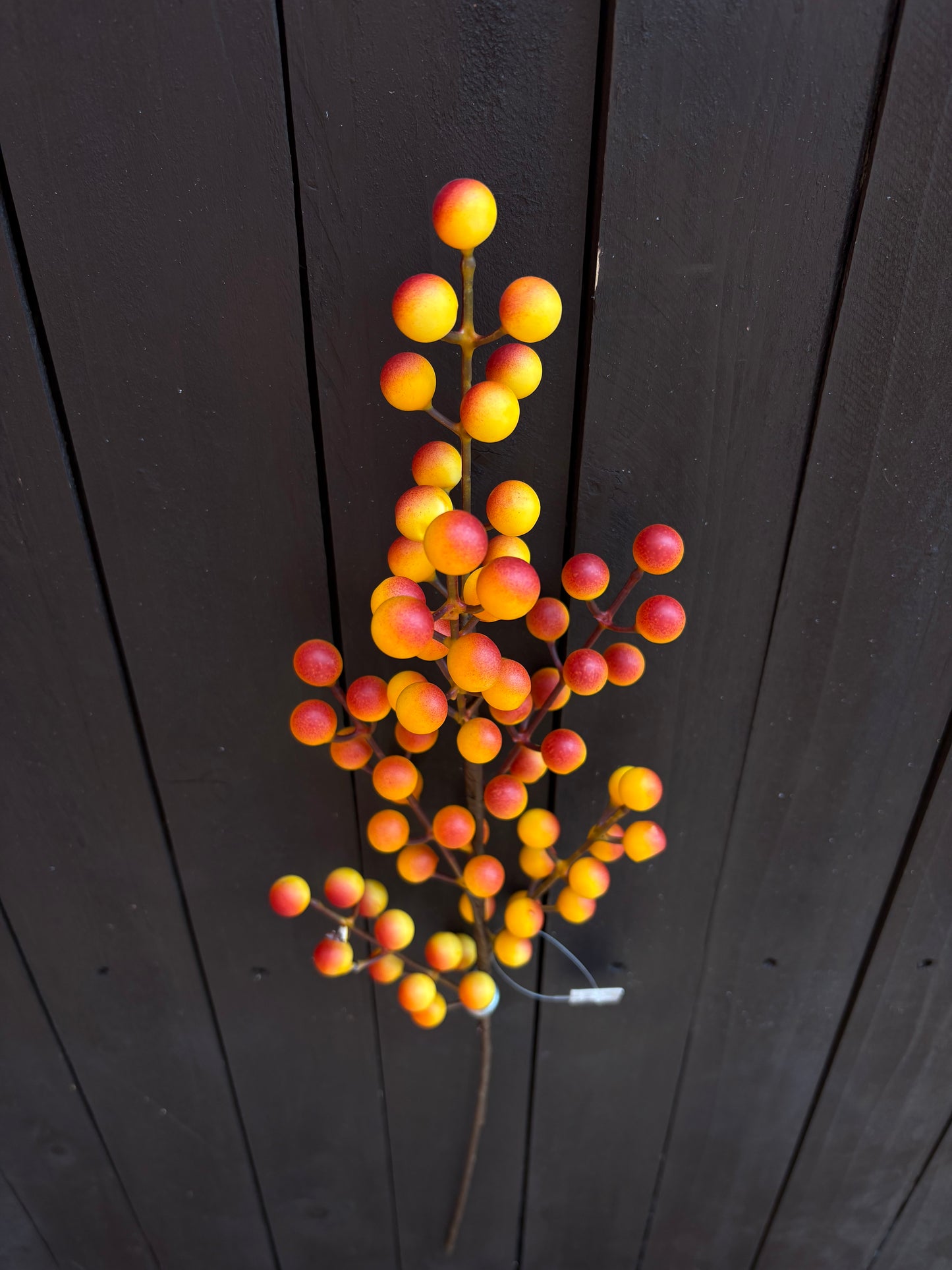 SEASONAL BERRY PICK BURNT ORANGE