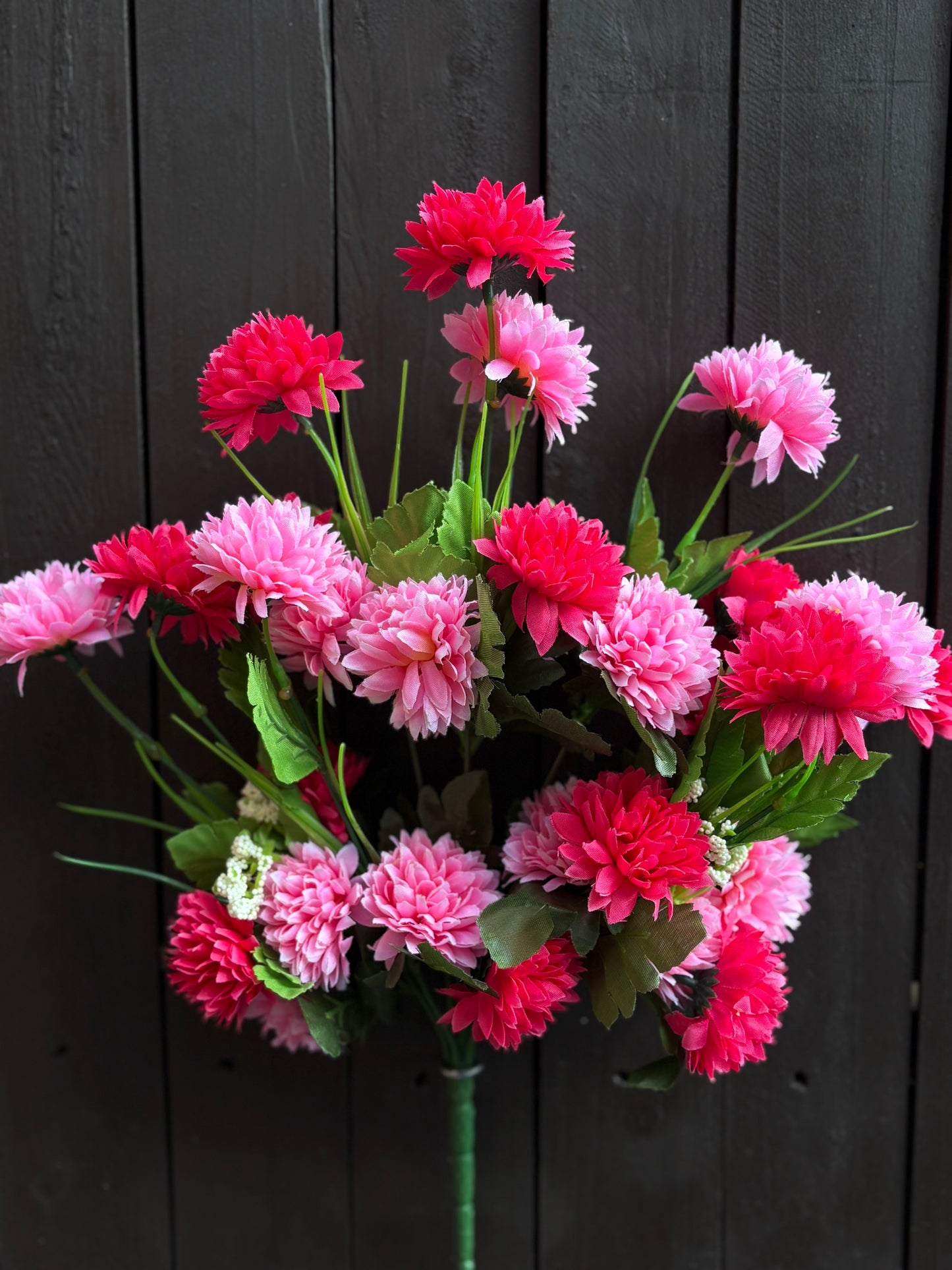 MIX CHRYSANTHEMUM BUSH PINK/HOT PINK