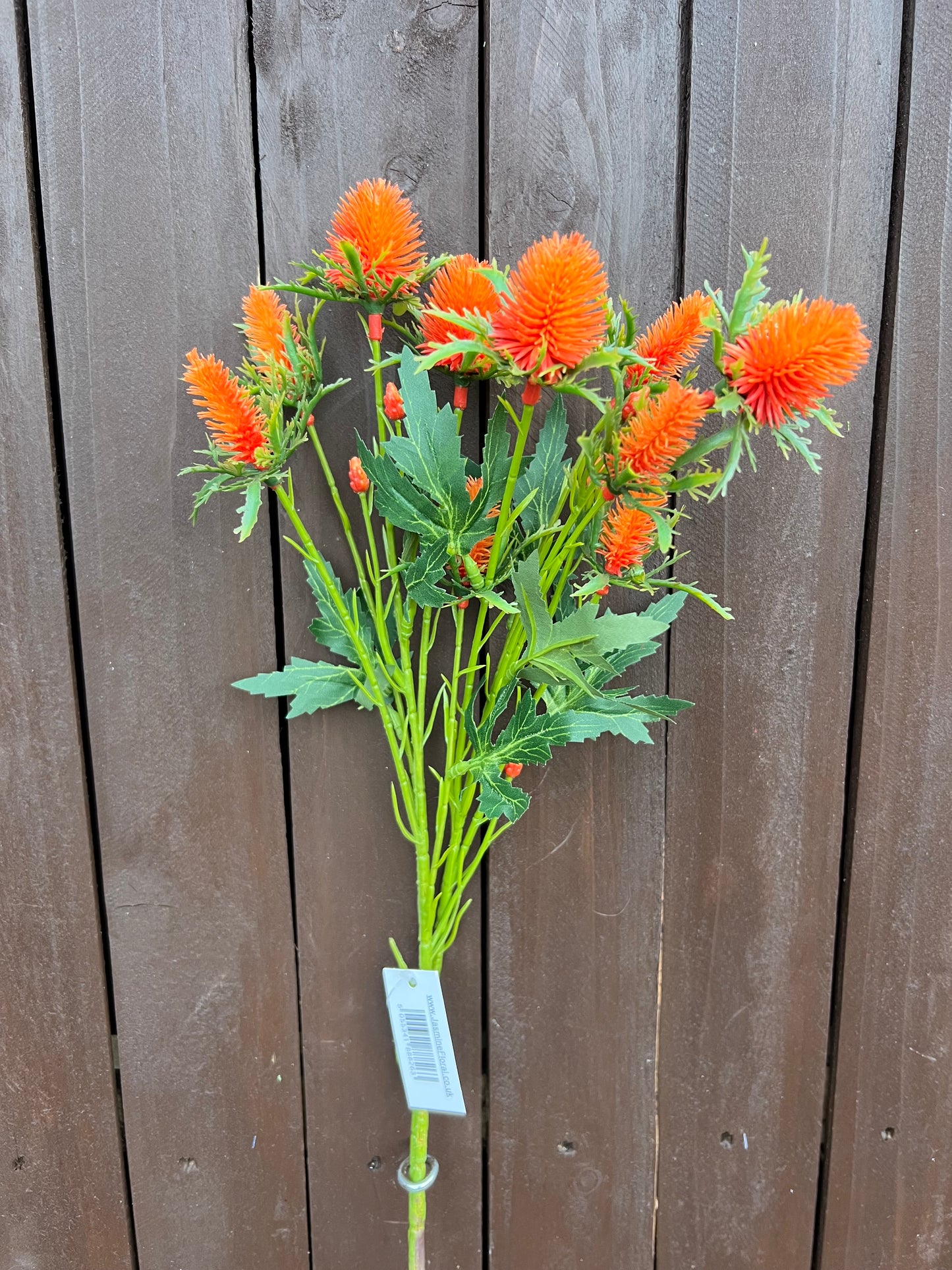 68cm SEA HOLLY ORANGE
