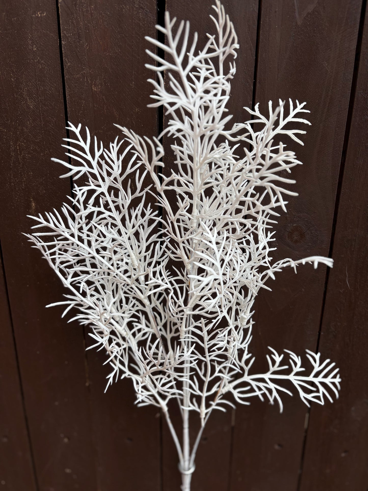 WHITE WINTER BRANCH