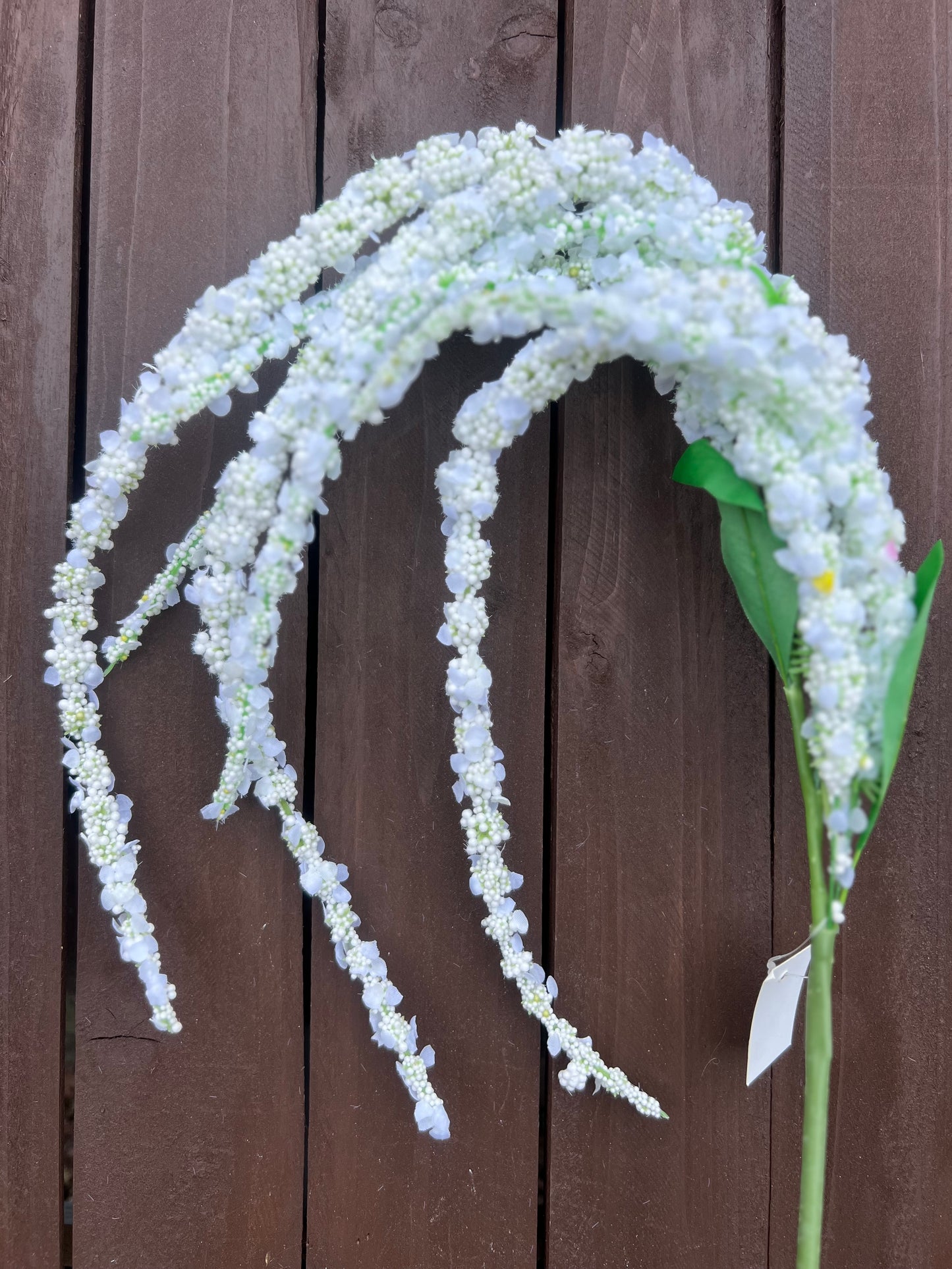 8 STEM AMARANTHUS SPRAY WHITE