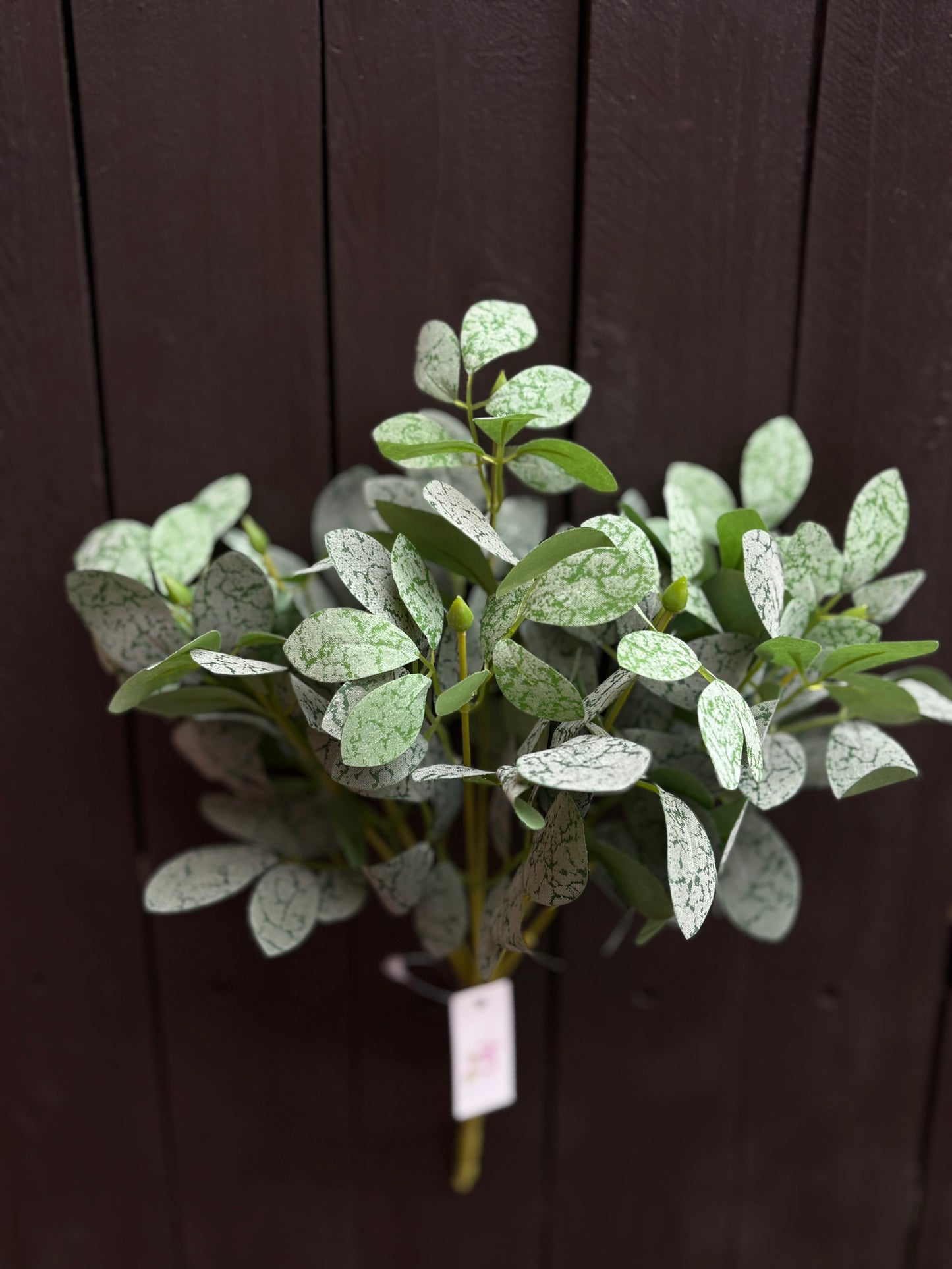 31cm EUONYMUS BUSH GREY/GREEN