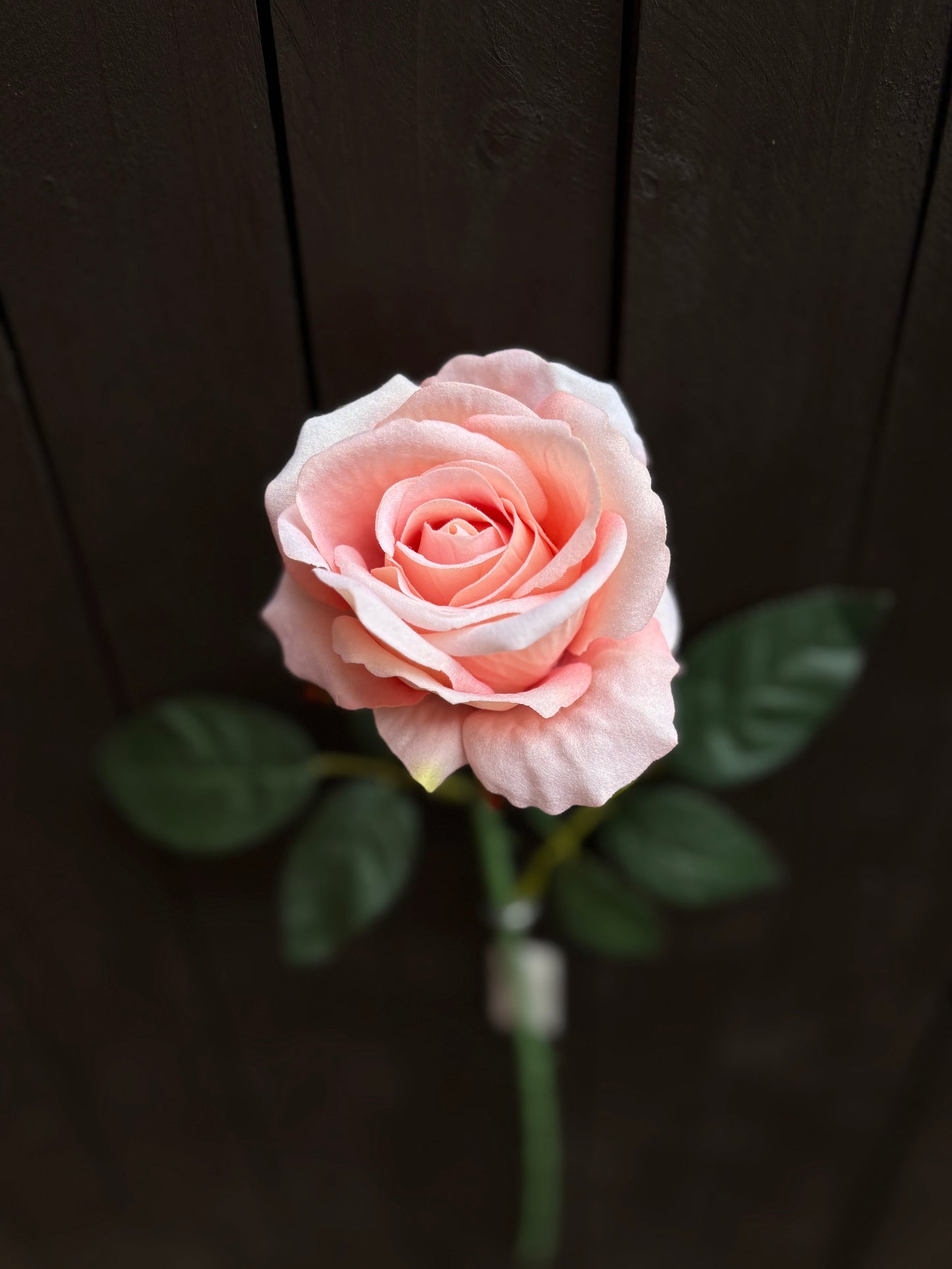 52CM SINGLE LARGE VELVET TOUCH OPEN ROSE PEACH