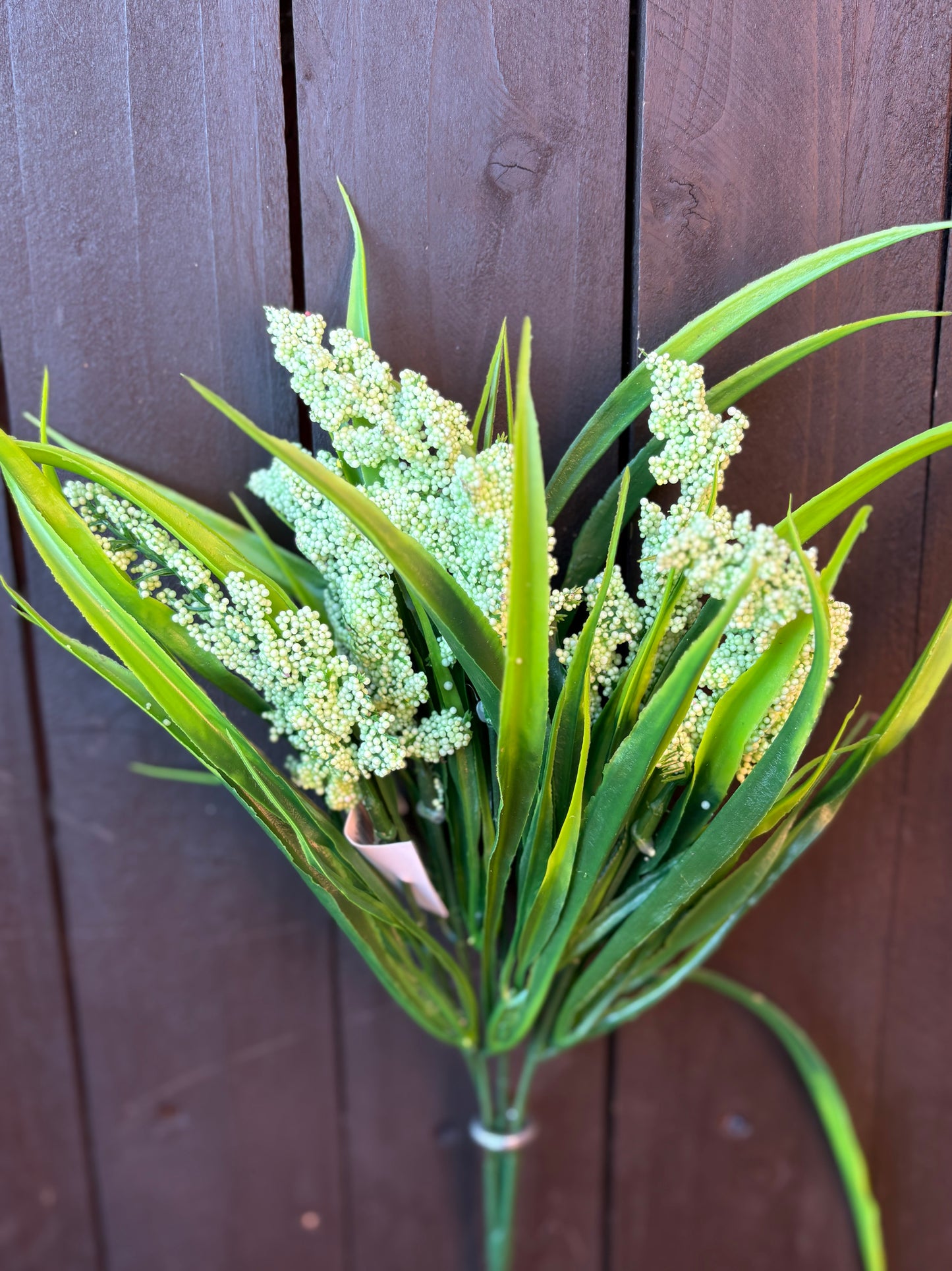 SEEDED ASTILBE GRASS GREEN