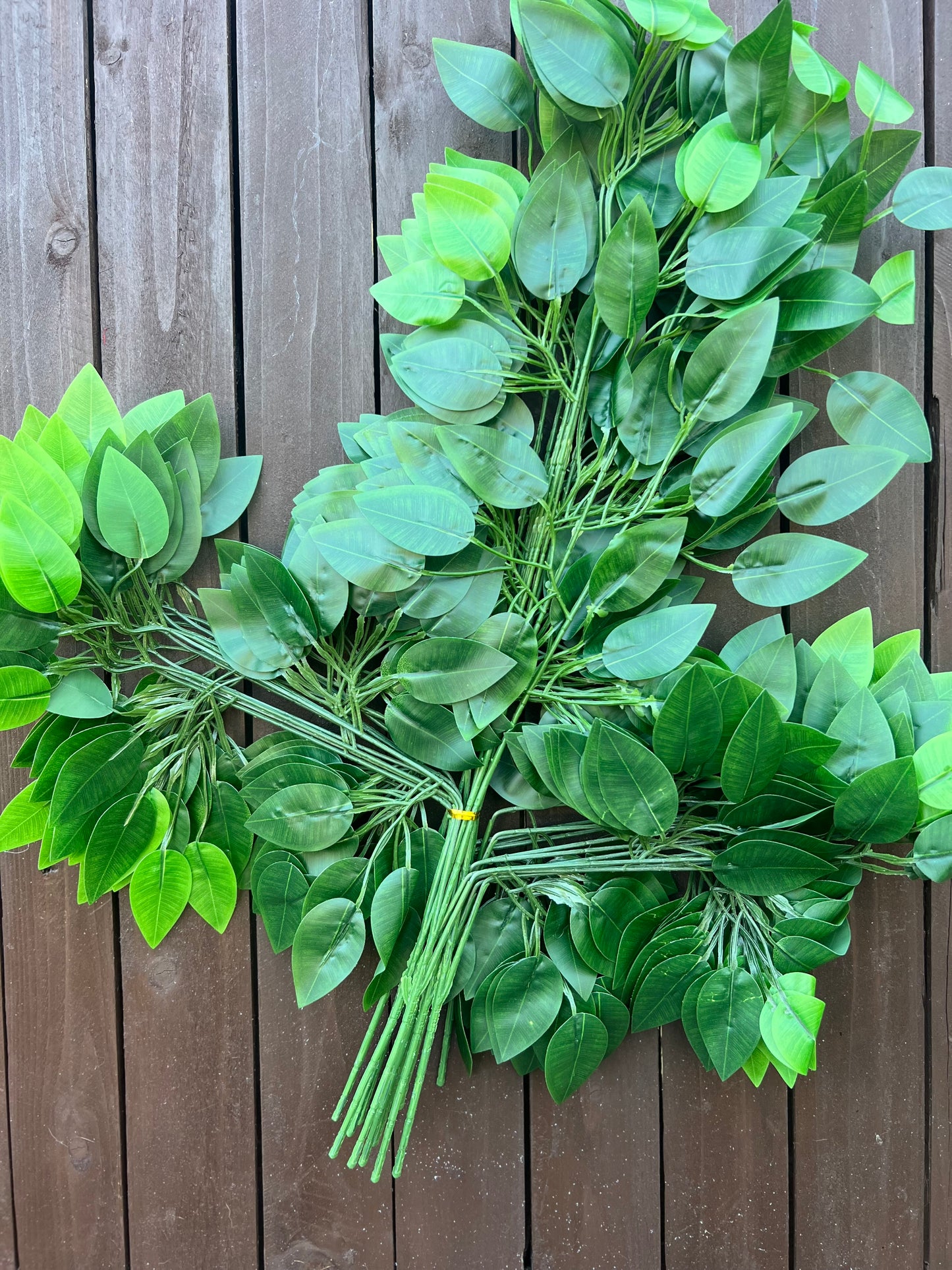 FISCUS LEAF PK12 GREEN