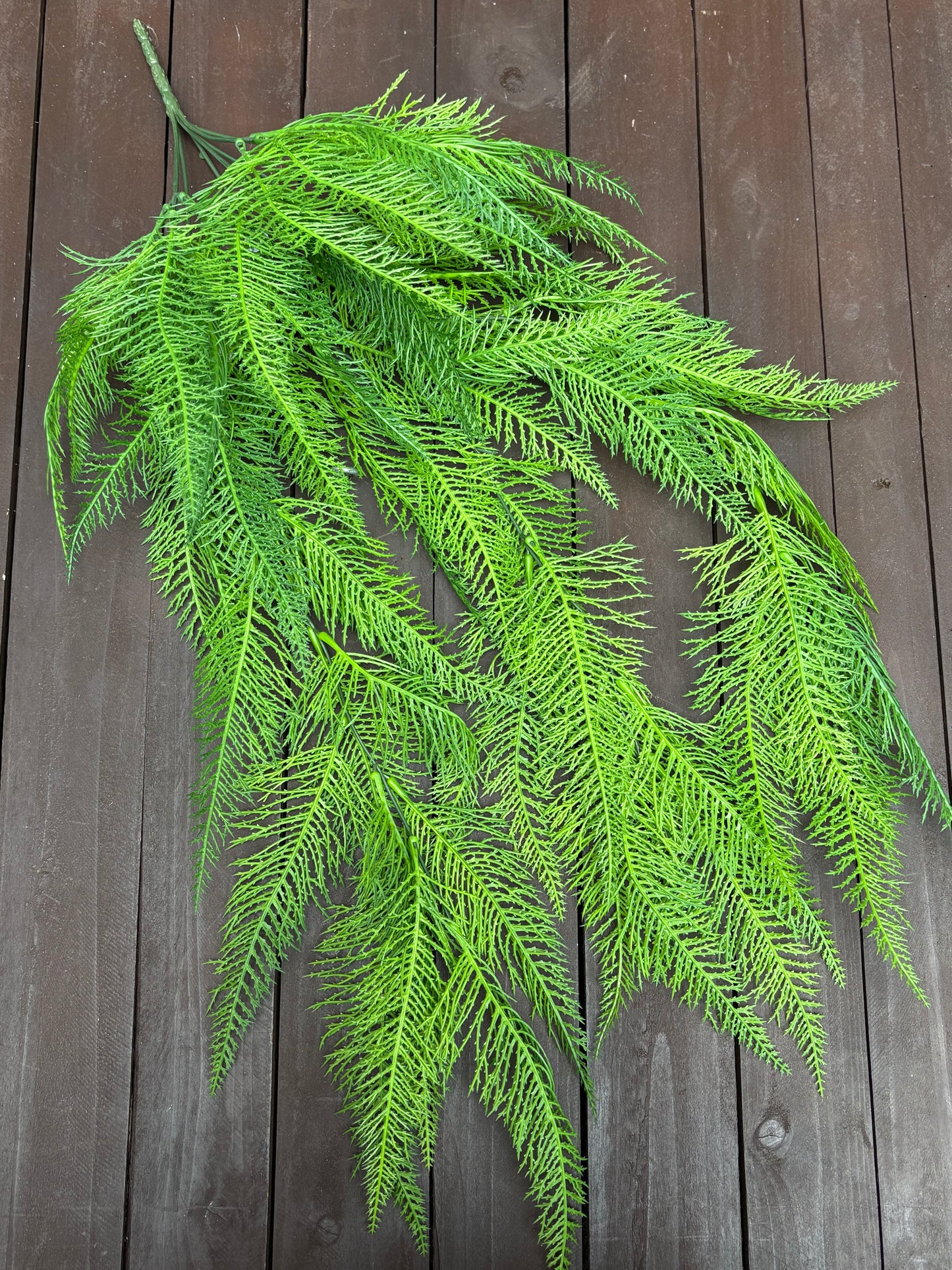 70cm TRAILING CONIFER FERN