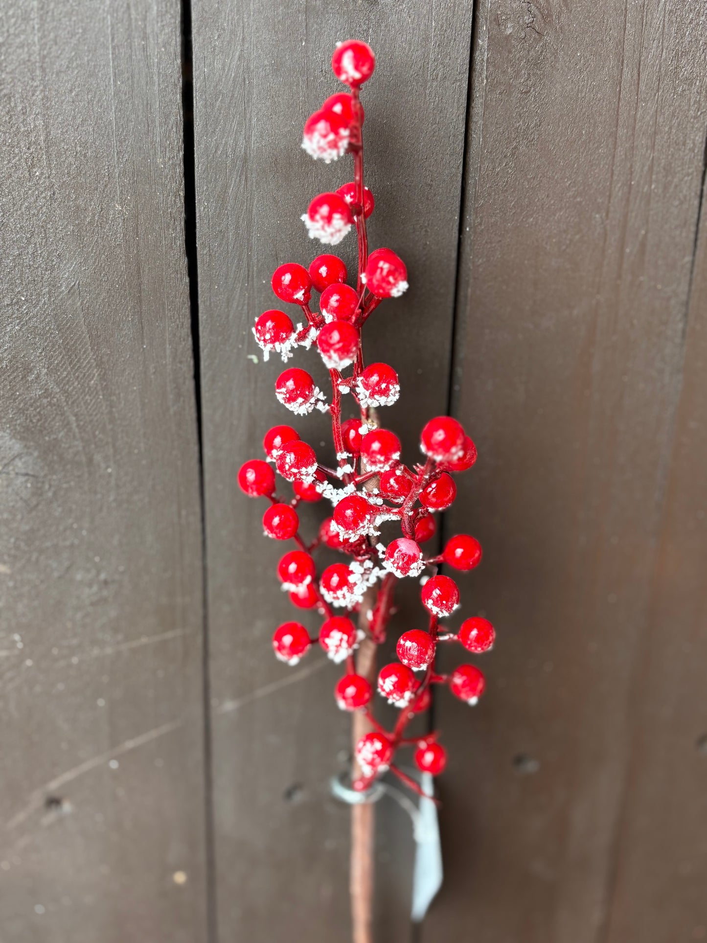 36cm RED BERRY FROST PICK