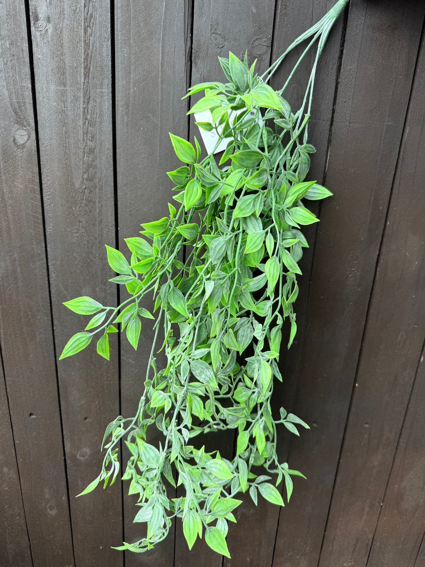 DELUXE HANGING RUSCUS BUSH GREEN