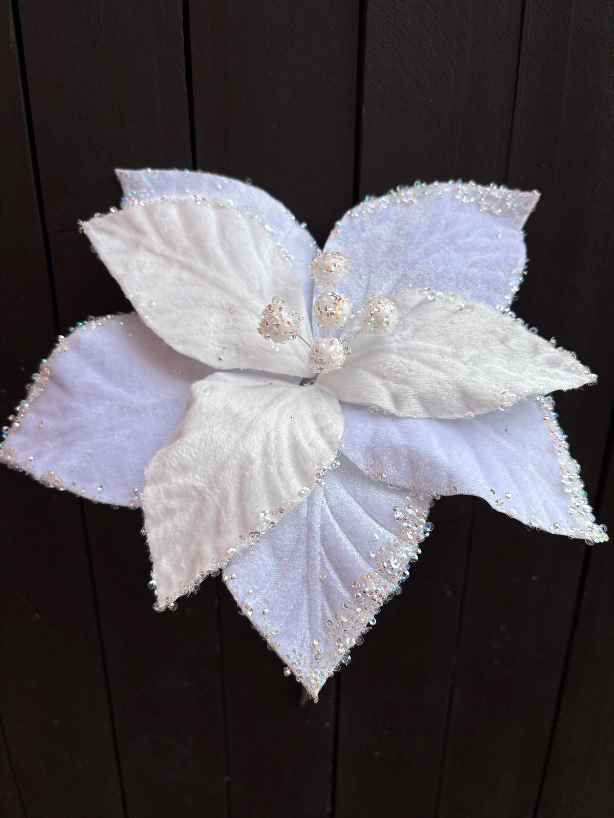 29cm PEARL EDGE POINSETTIA WHITE