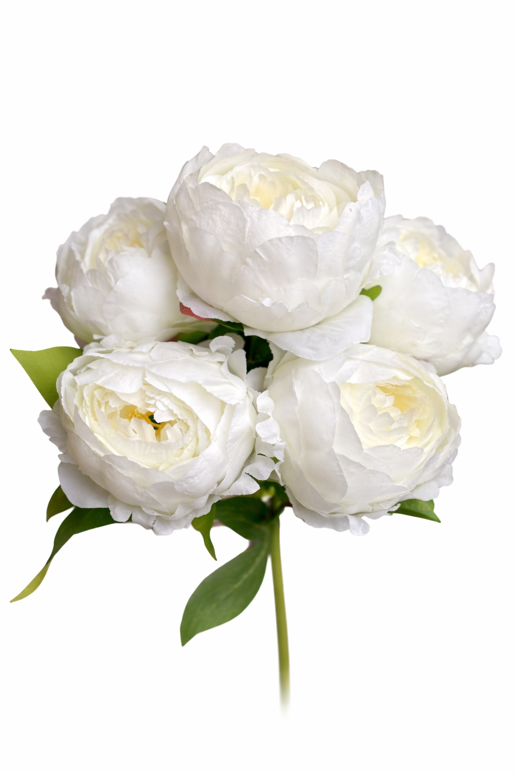 46cm LARGE PEONY BUSH IVORY