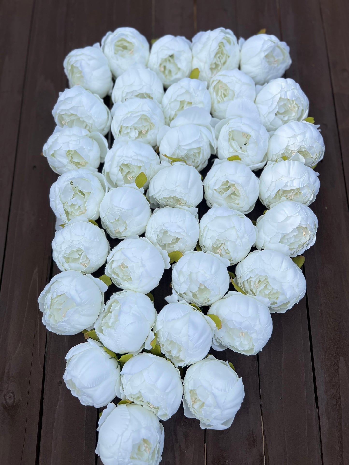 DELUXE SINGLE IVORY PEONY FLOWER HEAD BOX x36pcs