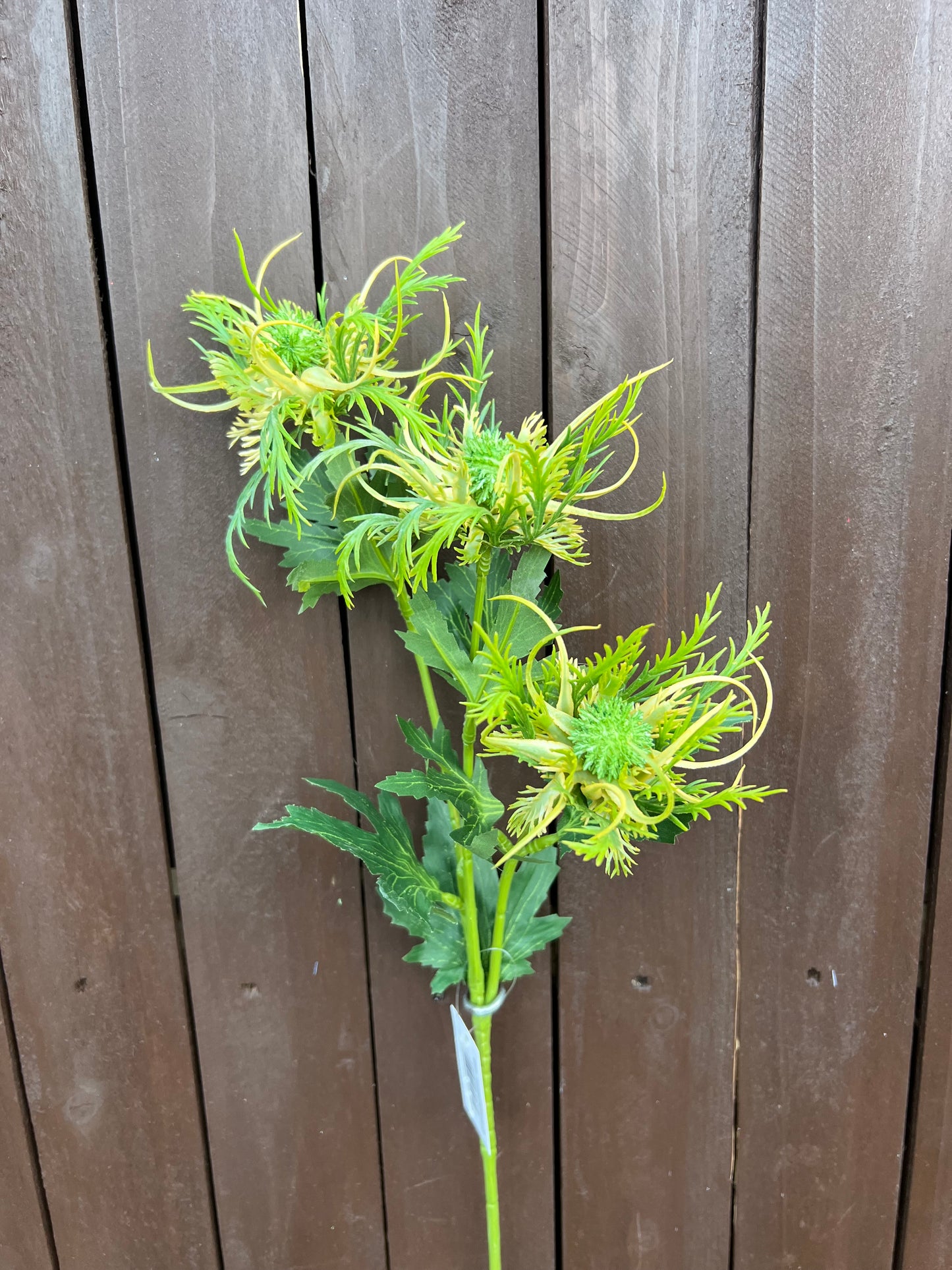 67cm SPIDER THISTLE SPRAY GREEN