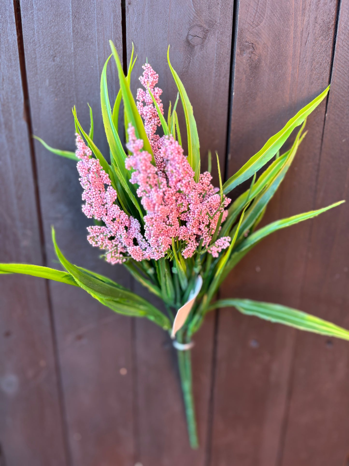 SEEDED ASTILBE GRASS PINK