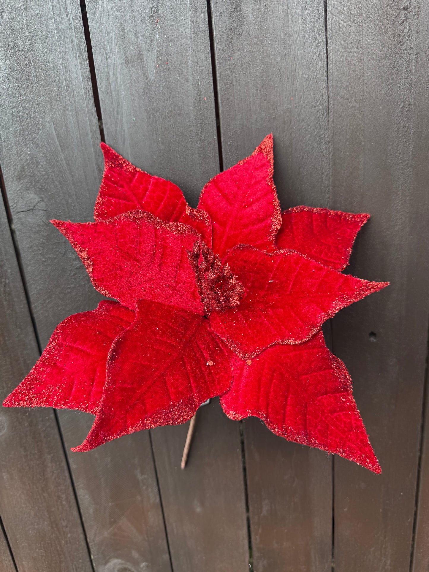 22cm VELVET POINSETTIA RED