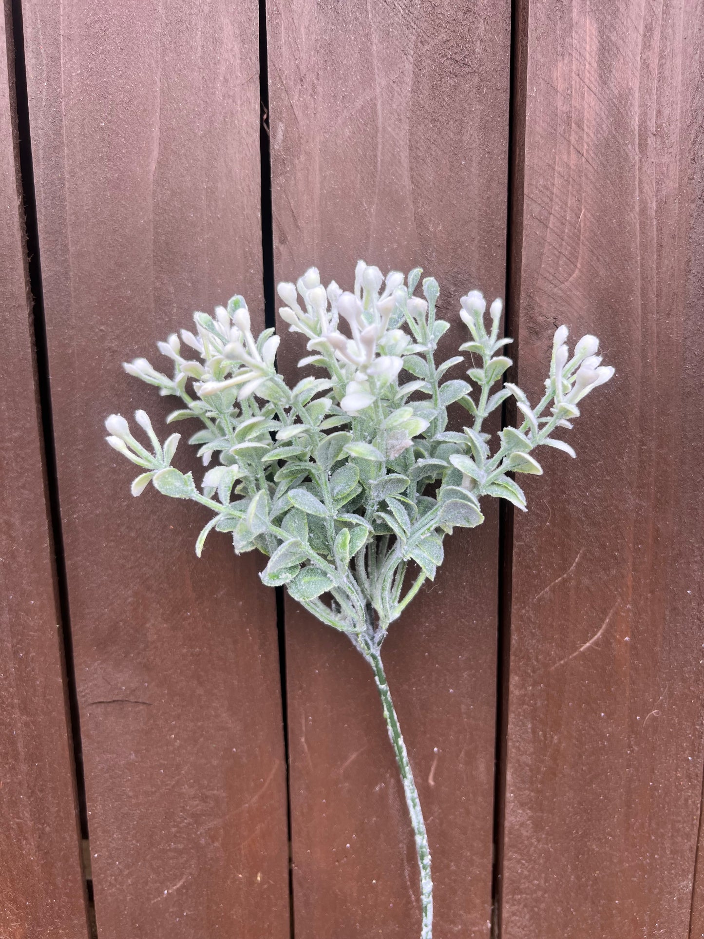 PLASTIC FLOCKED DOTTY SPRIG WHITE