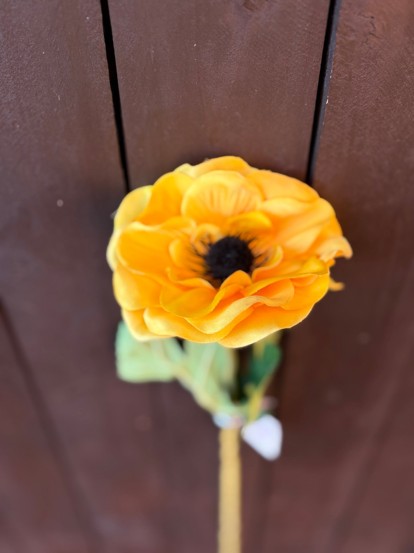 50cm SINGLE ANEMONE YELLOW