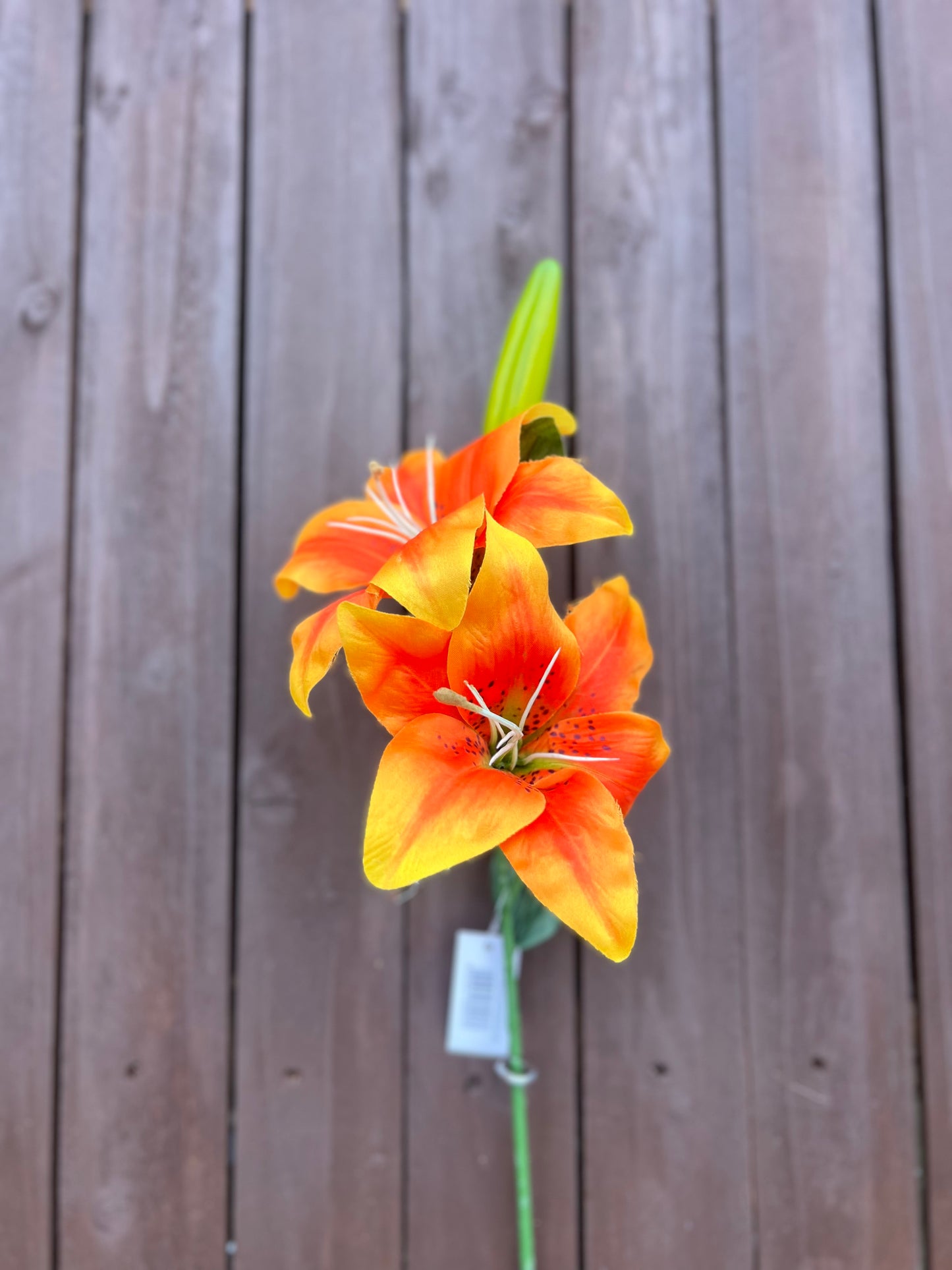 66cm CHLOE LILY SPRAY ORANGE