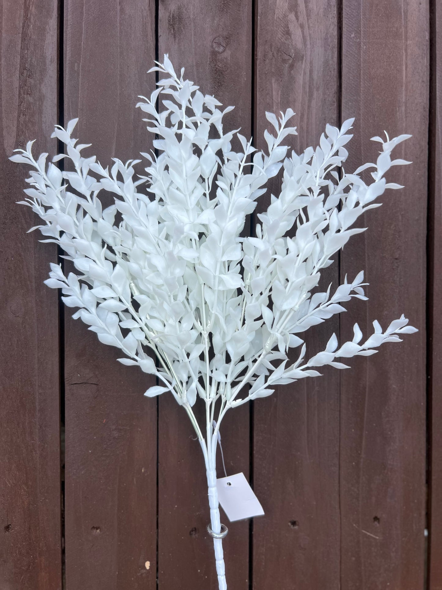PLASTIC LONG STEM PARVIFOLIA STEM WHITE