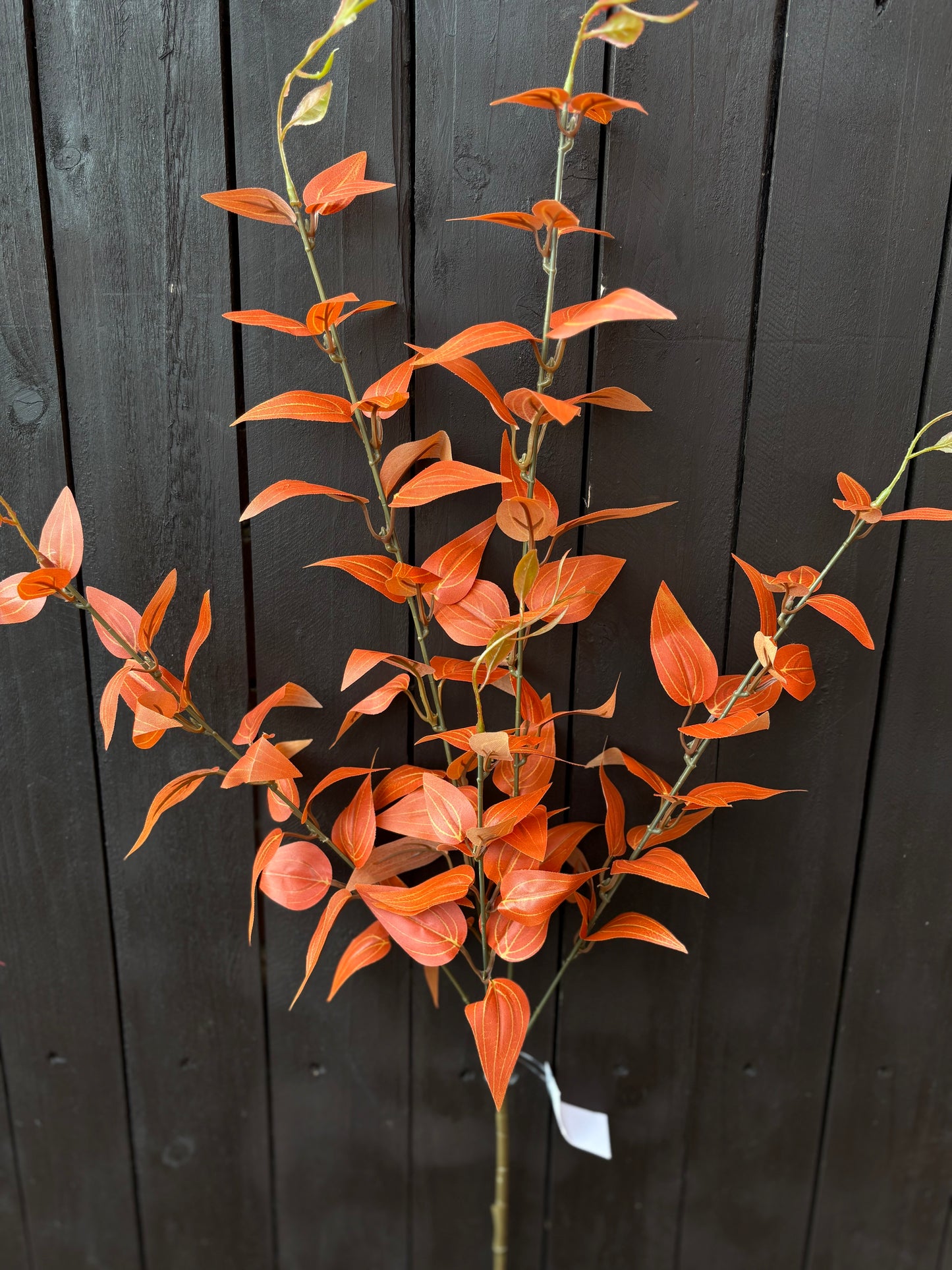 89cm ITALIAN RUSCUS FOLIAGE SPRAY ORANGE/BROWN