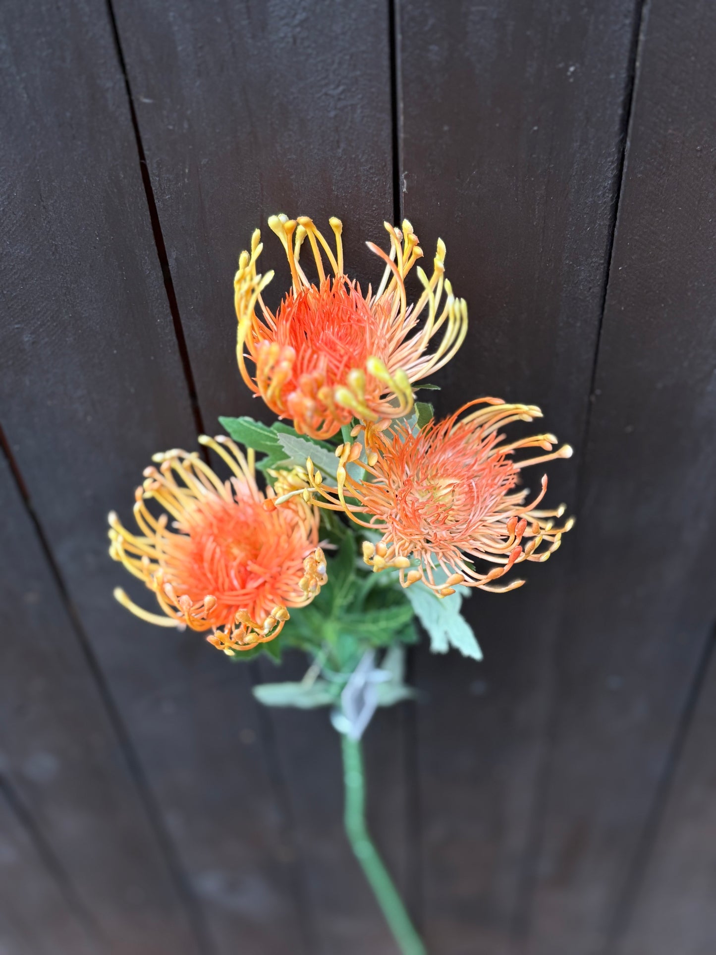 PROTEA SPRAY ORANGE