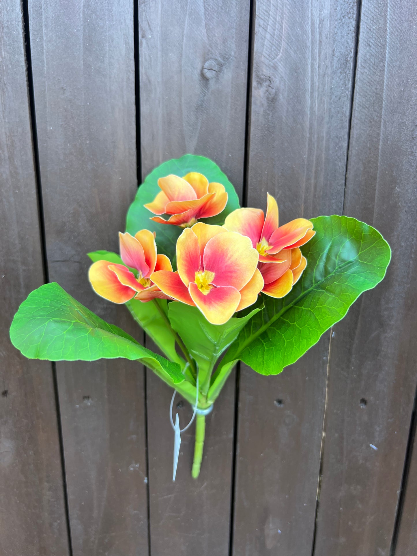 24cm UV RESISTANT PANSY BUSH ORANGE