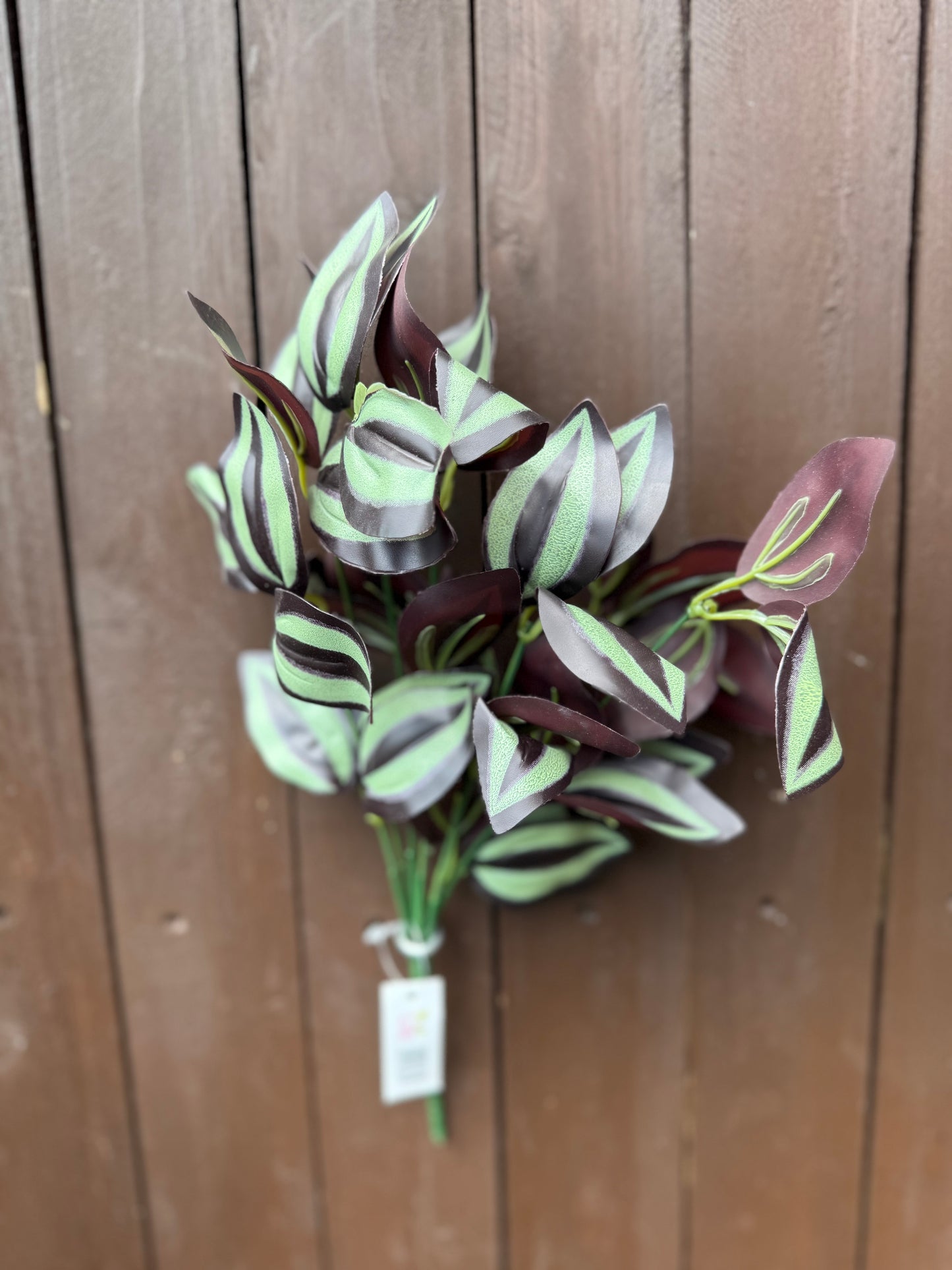 33cm DARK TRADESCANTIA BUSH GREEN/BROWN