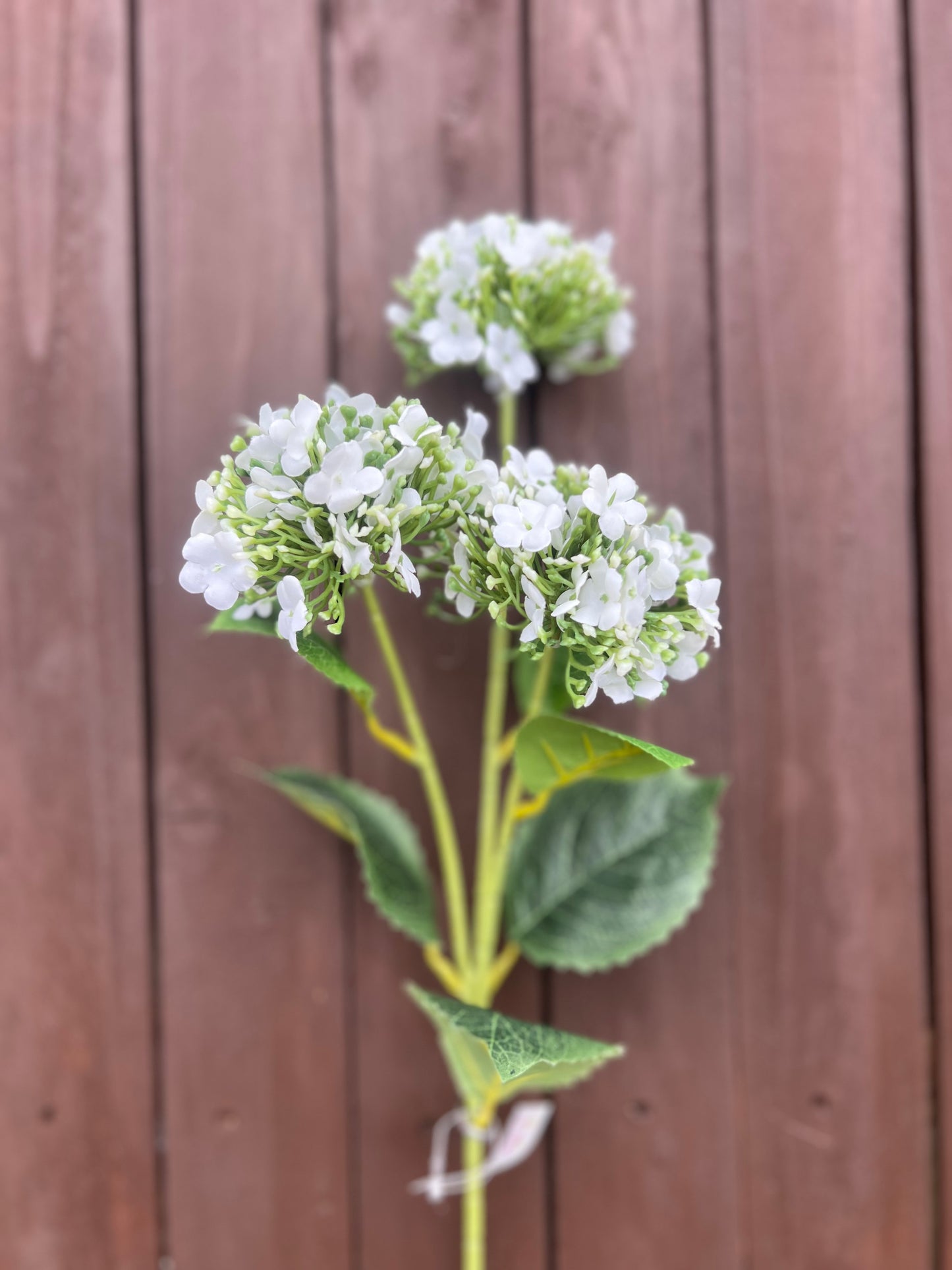 63cm TRIPLE BUDDING HYDRANGEA SPRAY IVORY