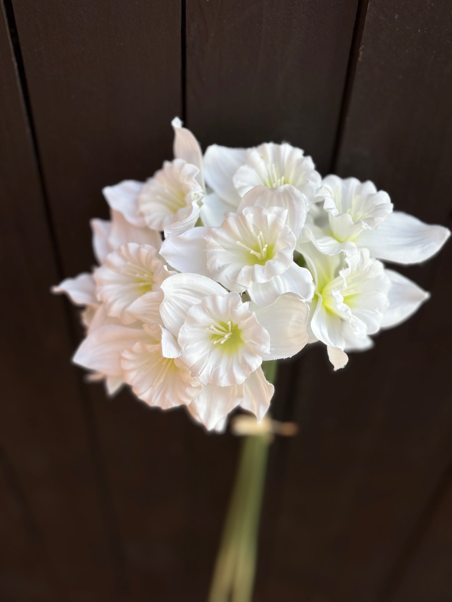 RUFFLED DAFFODIL BUNCH WHITE