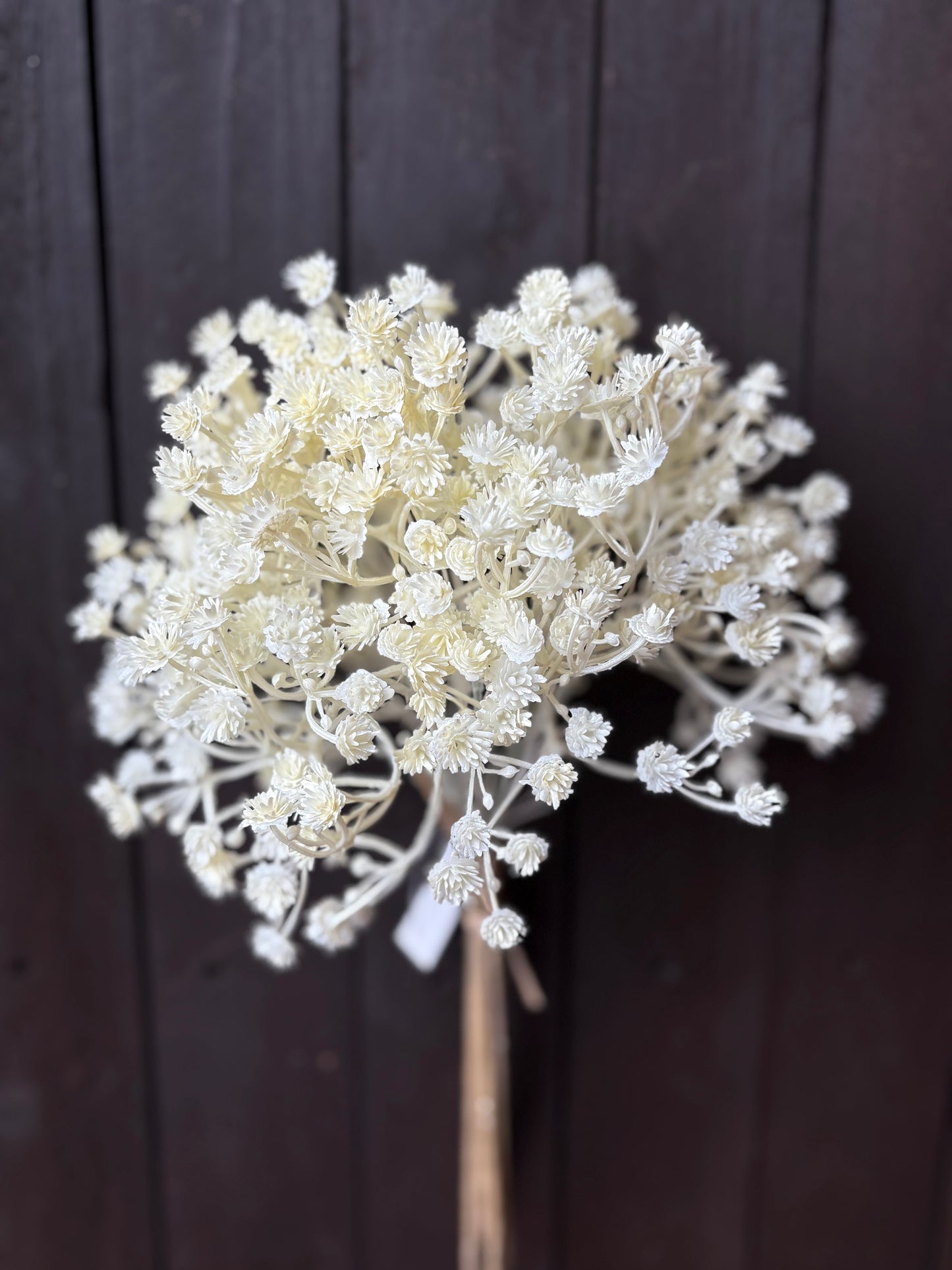 DRIED LOOK GYP BUNCH CREAM