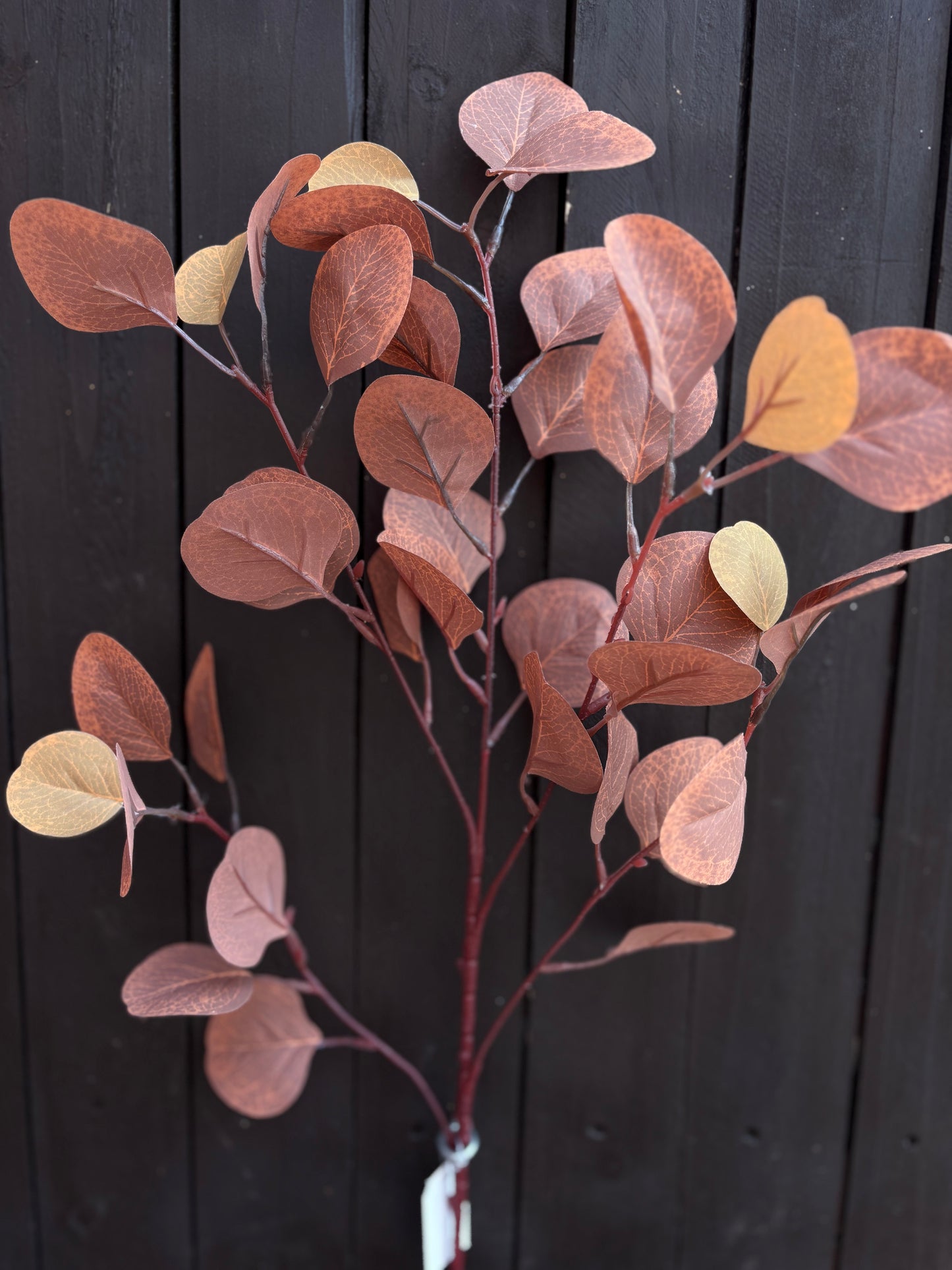 85cm EUCALYPTUS SPRAY BROWN