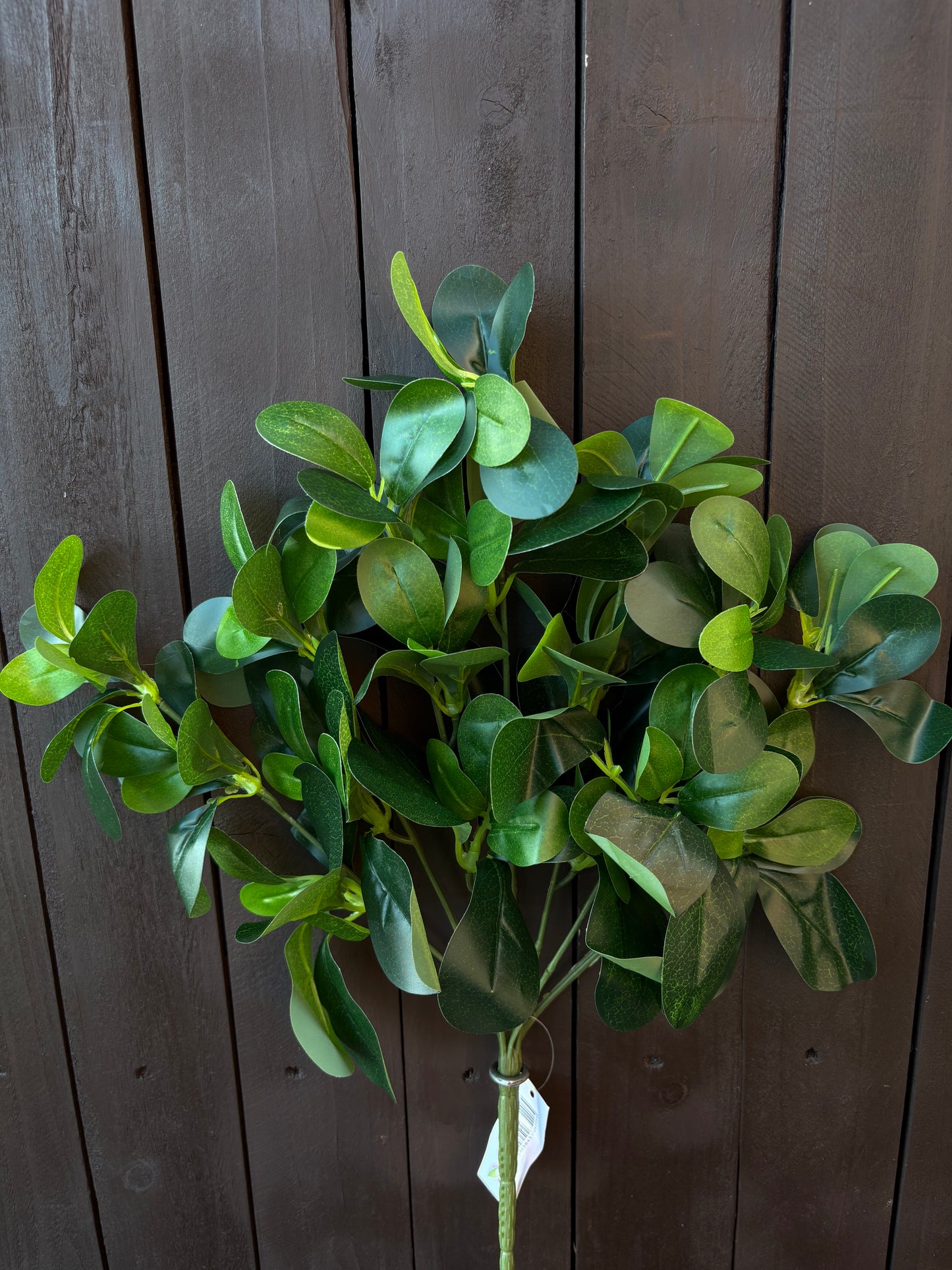 40cm LARGE EUONYMUS FOLIAGE BUSH GREEN