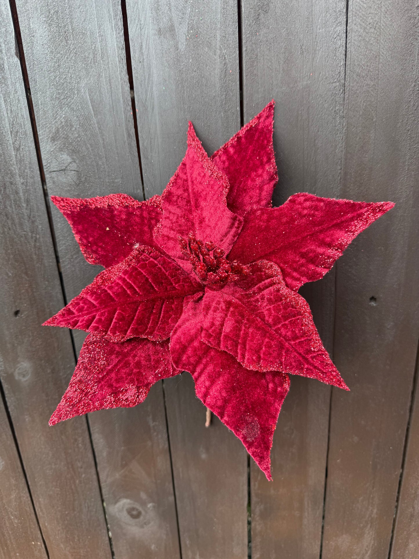 22cm VELVET POINSETTIA WINE