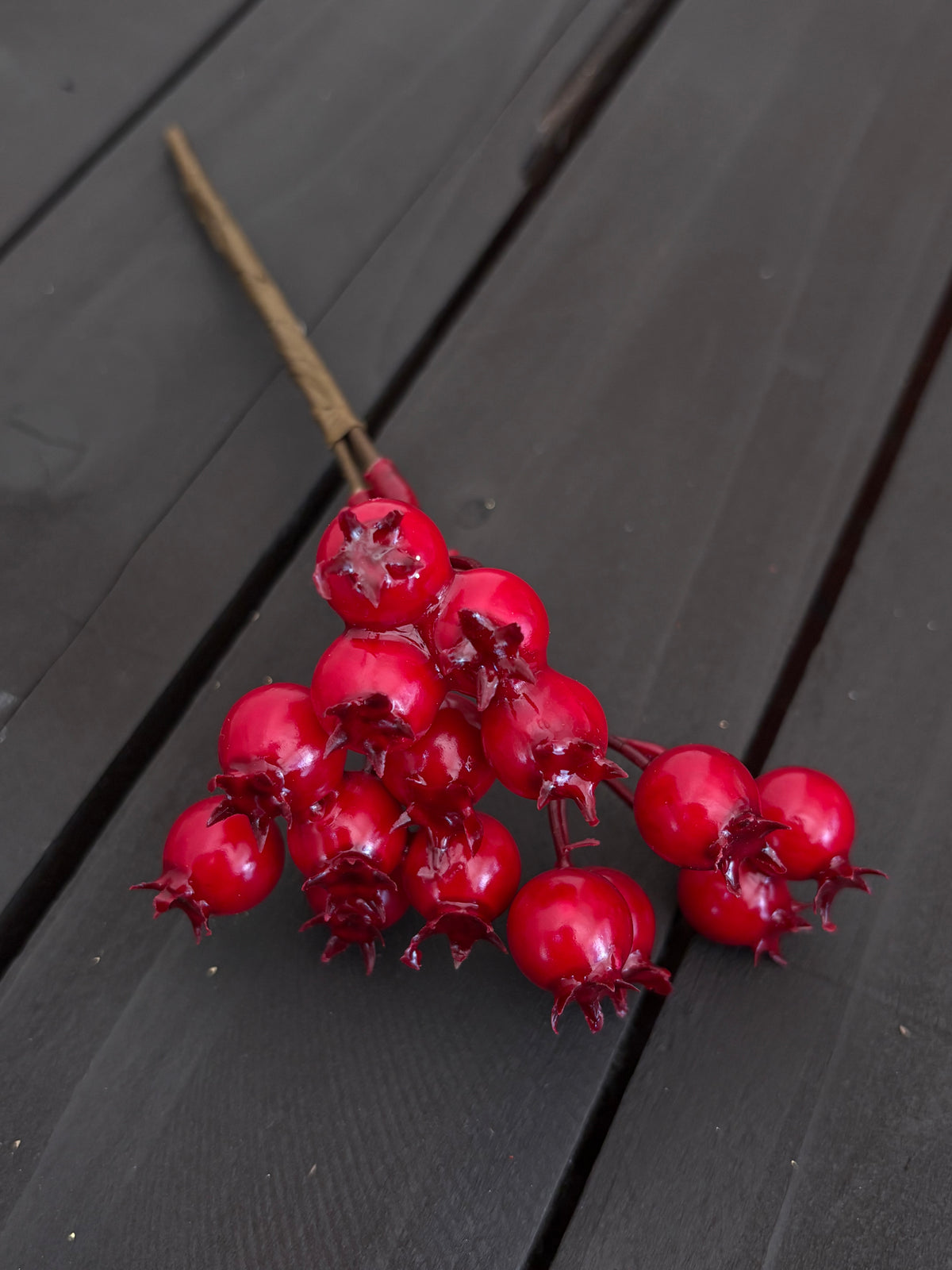 PACK 12 20cm GLOSSY ROSEHIP RED