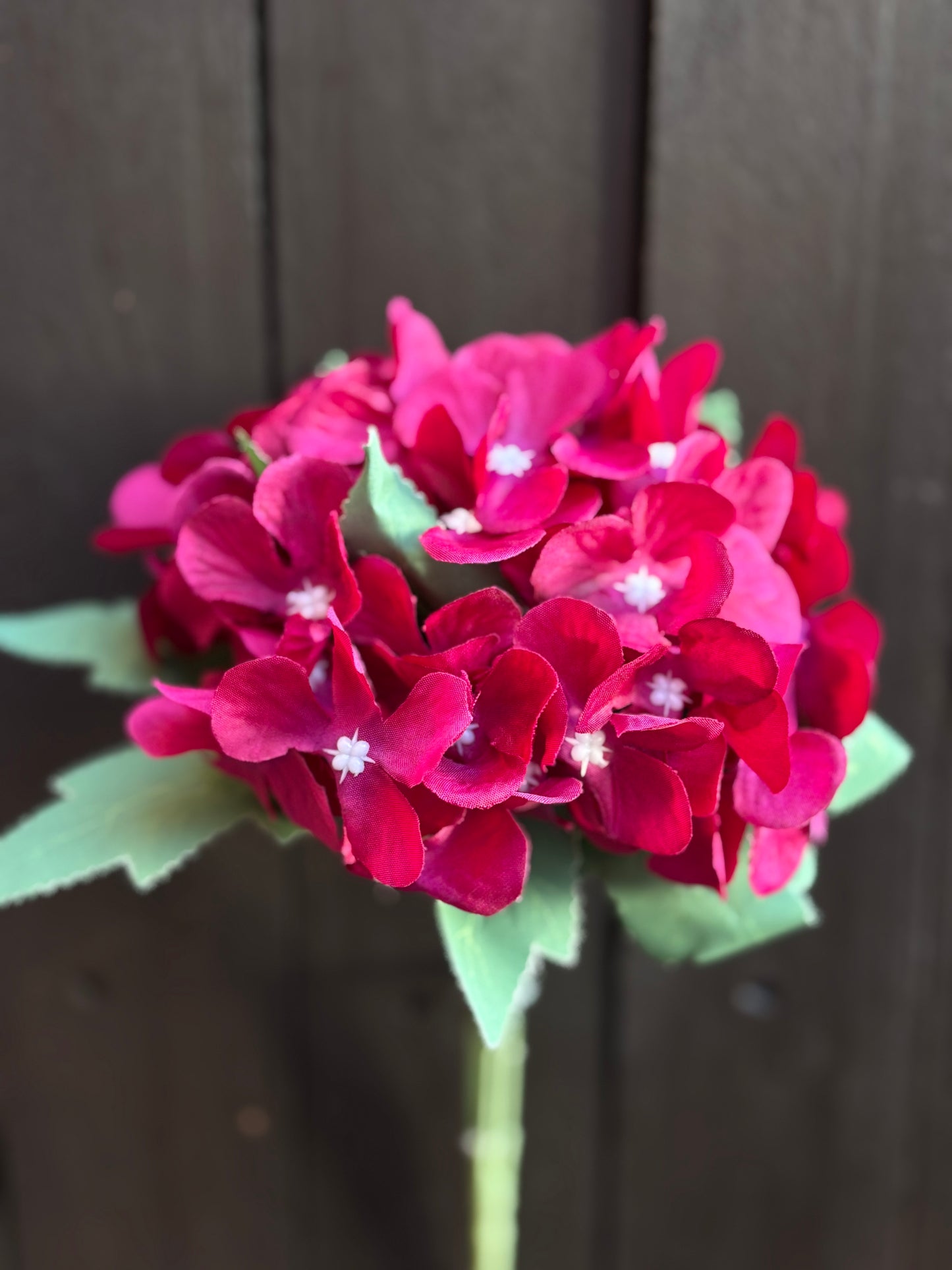 29cm HYDRANGEA BUSH WINE