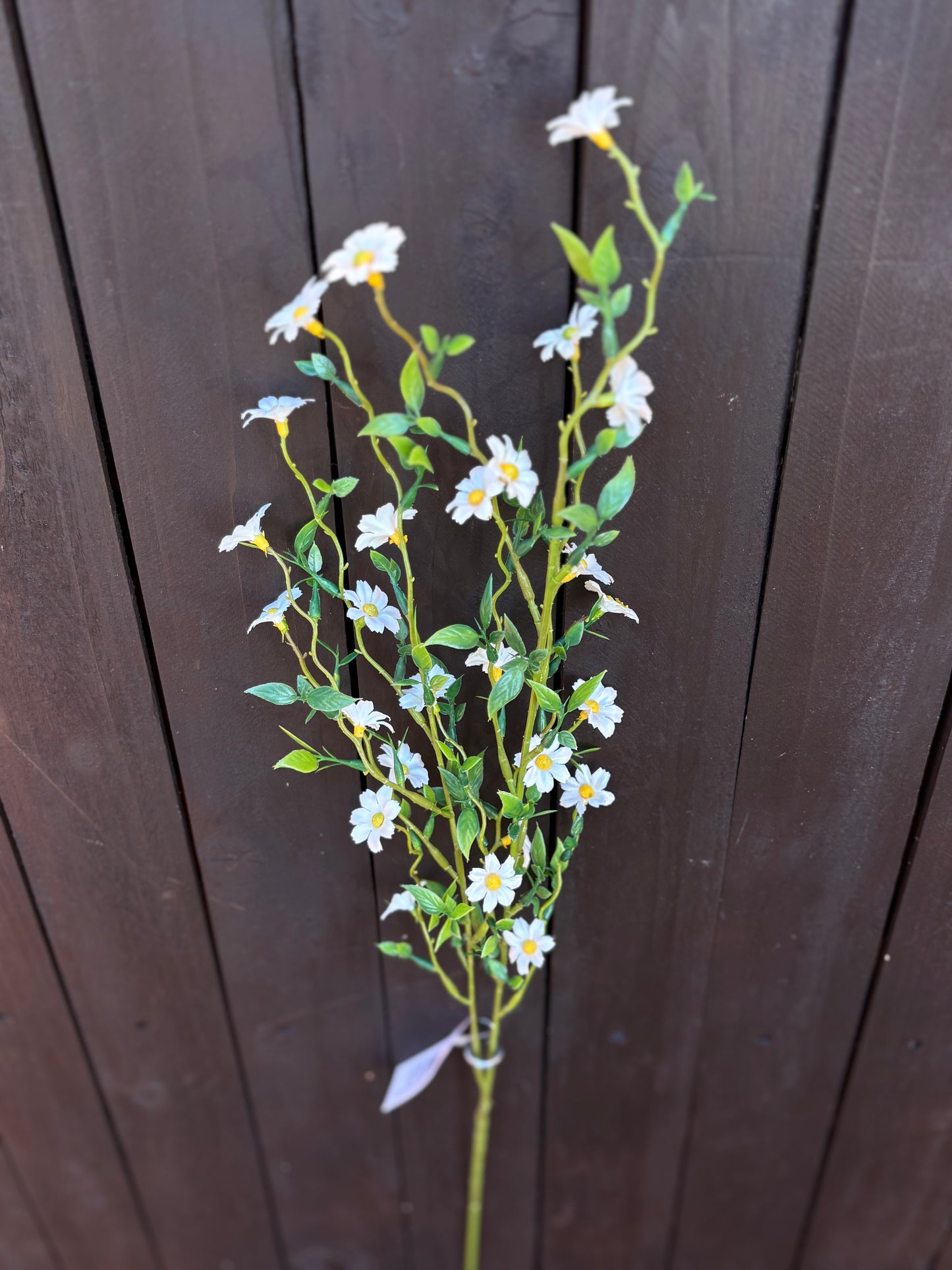 70cm MINI DAISY SPRAY IVORY