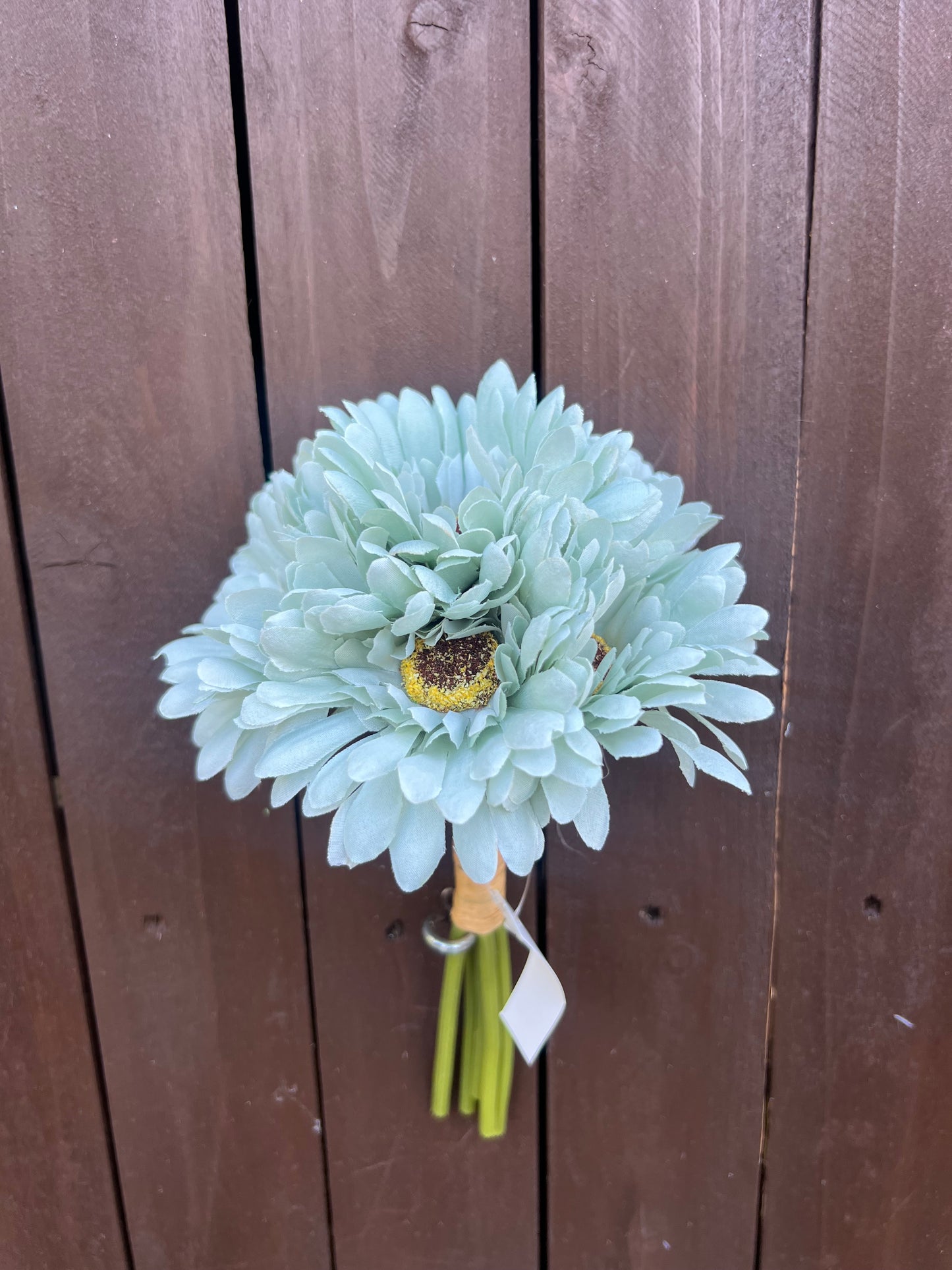 23cm GERBERA BUNDLE (6 STEMS) SAGE GREEN