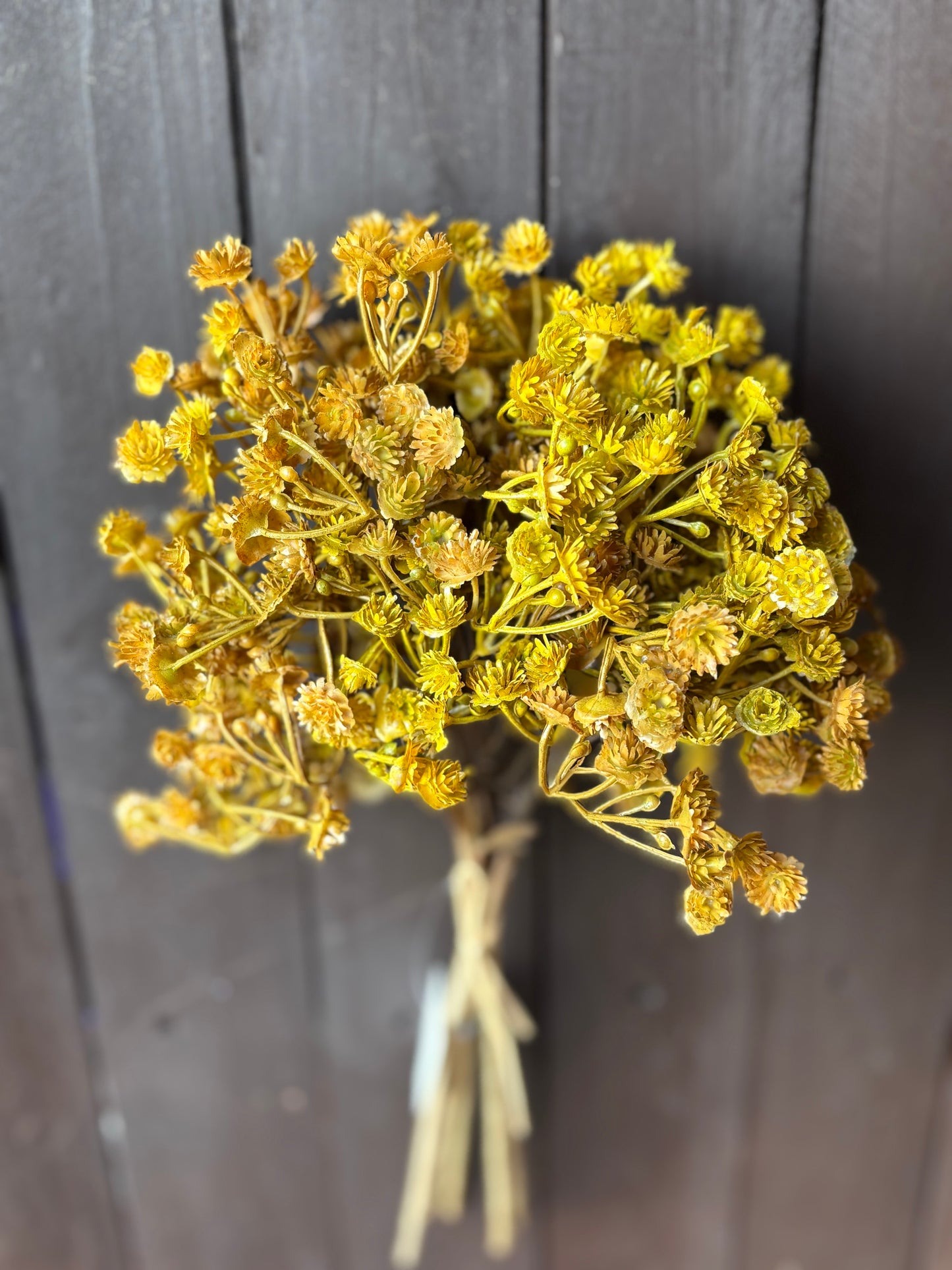 DRIED LOOK GYP BUNCH HONEY