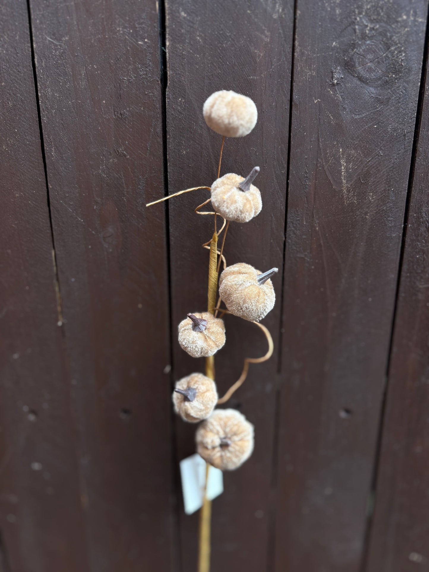 40cm AUTUMN MINI VELVET PUMPKIN SPRAY MINK