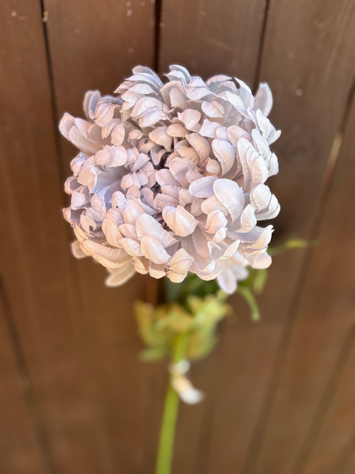 SILK LARGE MUM FLOWER GREY