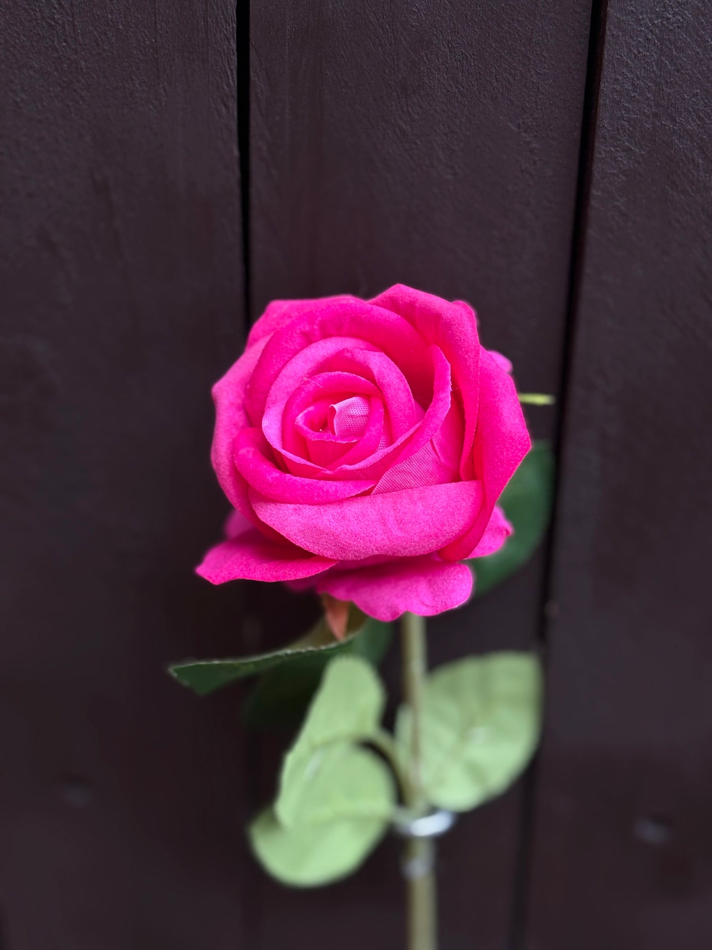 SMALL ROSE STEM HOT PINK