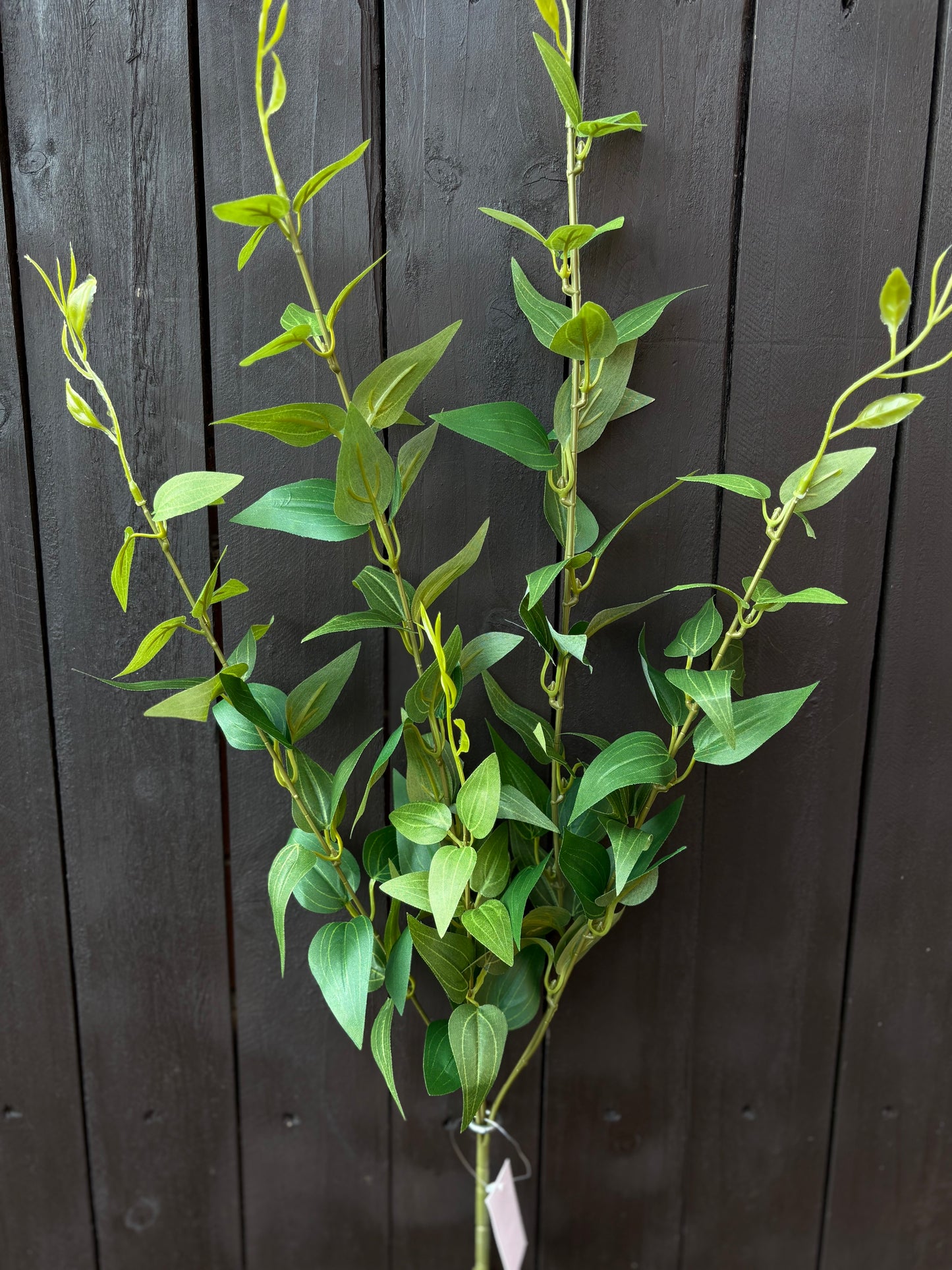89cm ITALIAN RUSCUS FOLIAGE SPRAY GREEN