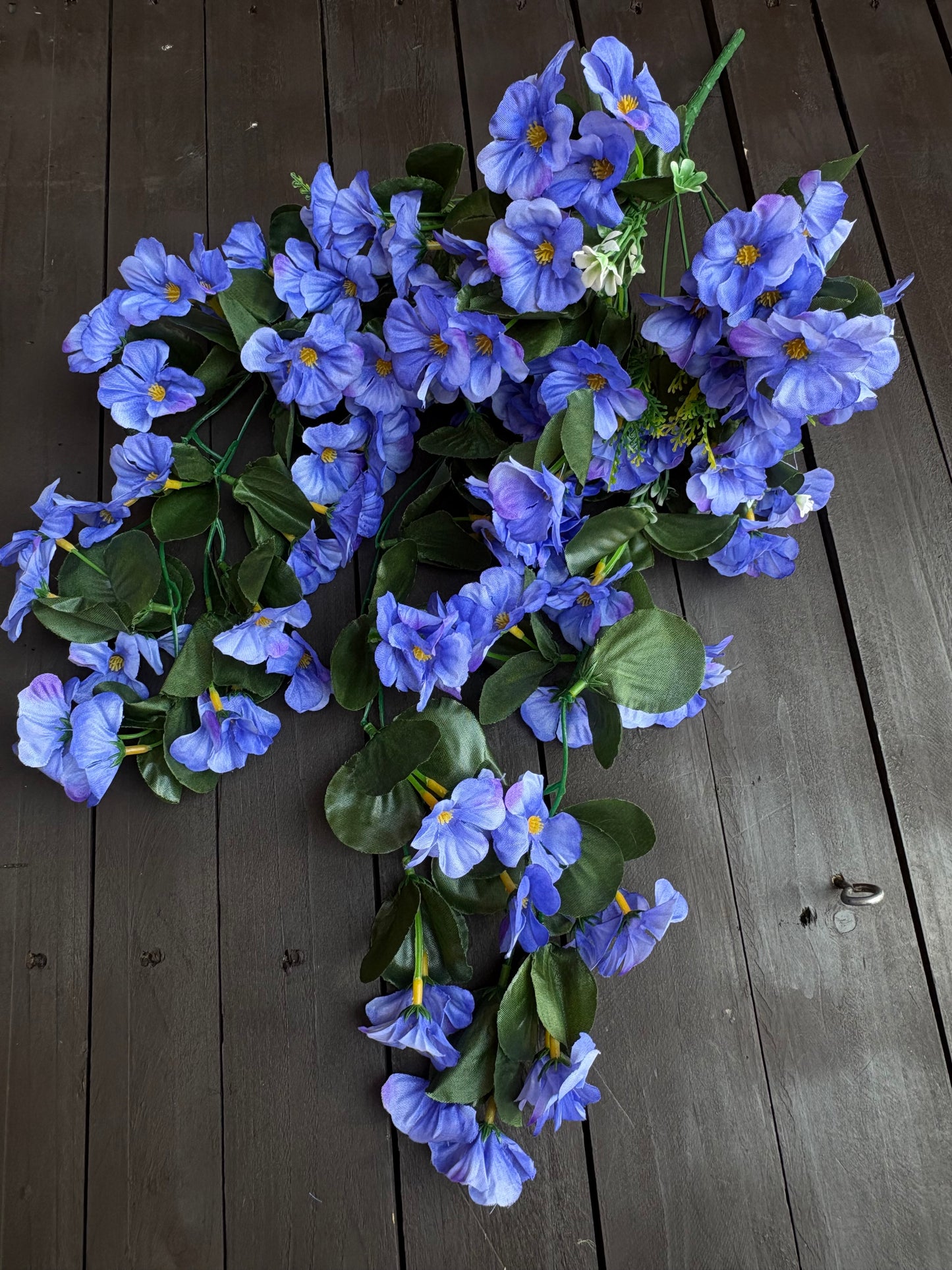 TRAILING NASTURTIUM BLUE