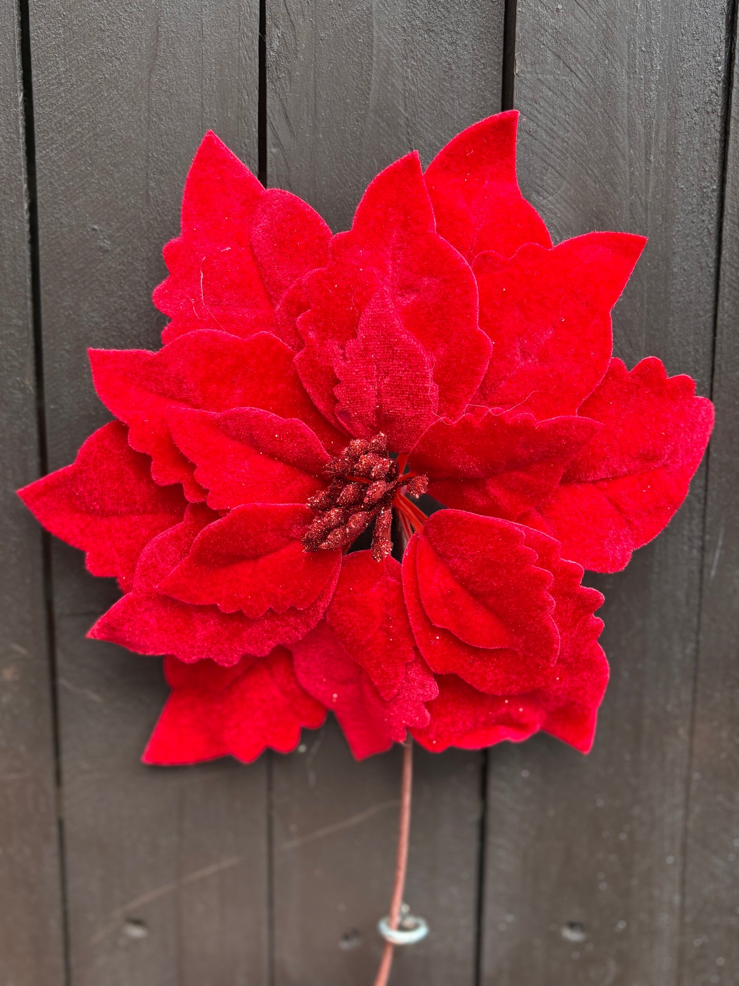 20cm SINGLE VELVET POINSETTIA RED