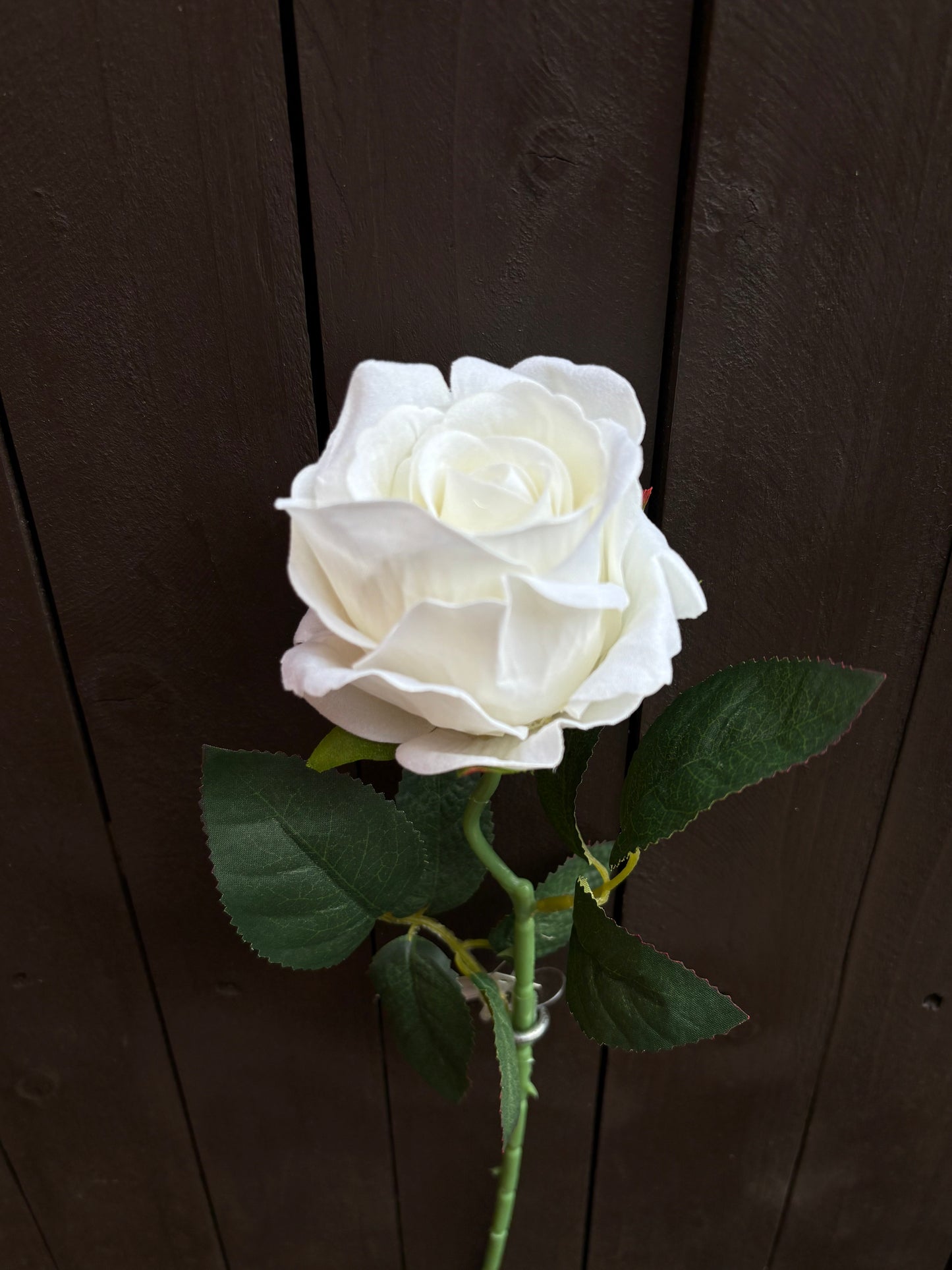 52CM SINGLE LARGE VELVET TOUCH OPEN ROSE IVORY