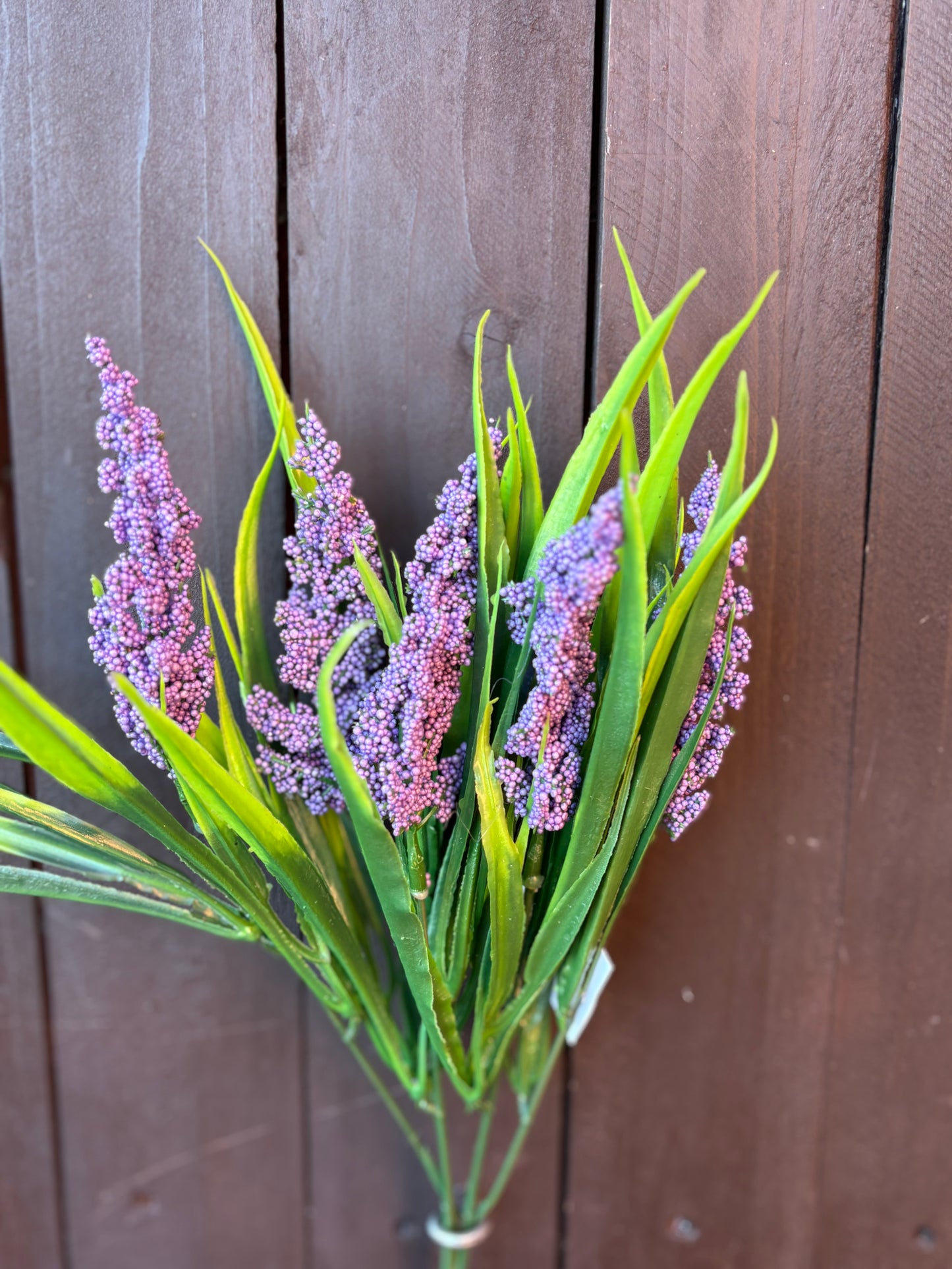 SEEDED ASTILBE GRASS PURPLE
