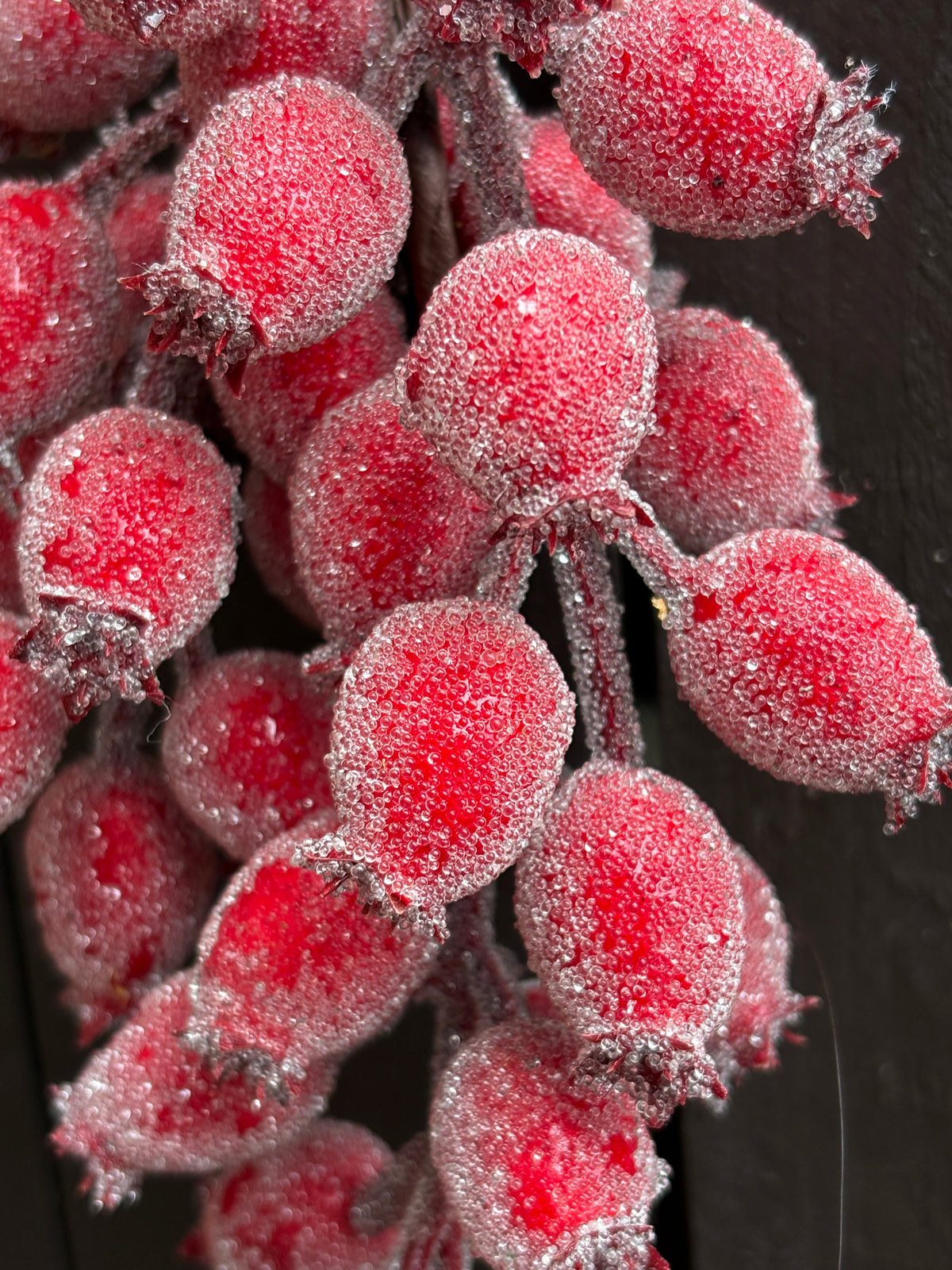 25cm HANGING CRYSTALLISED ROSEHIP SWAG