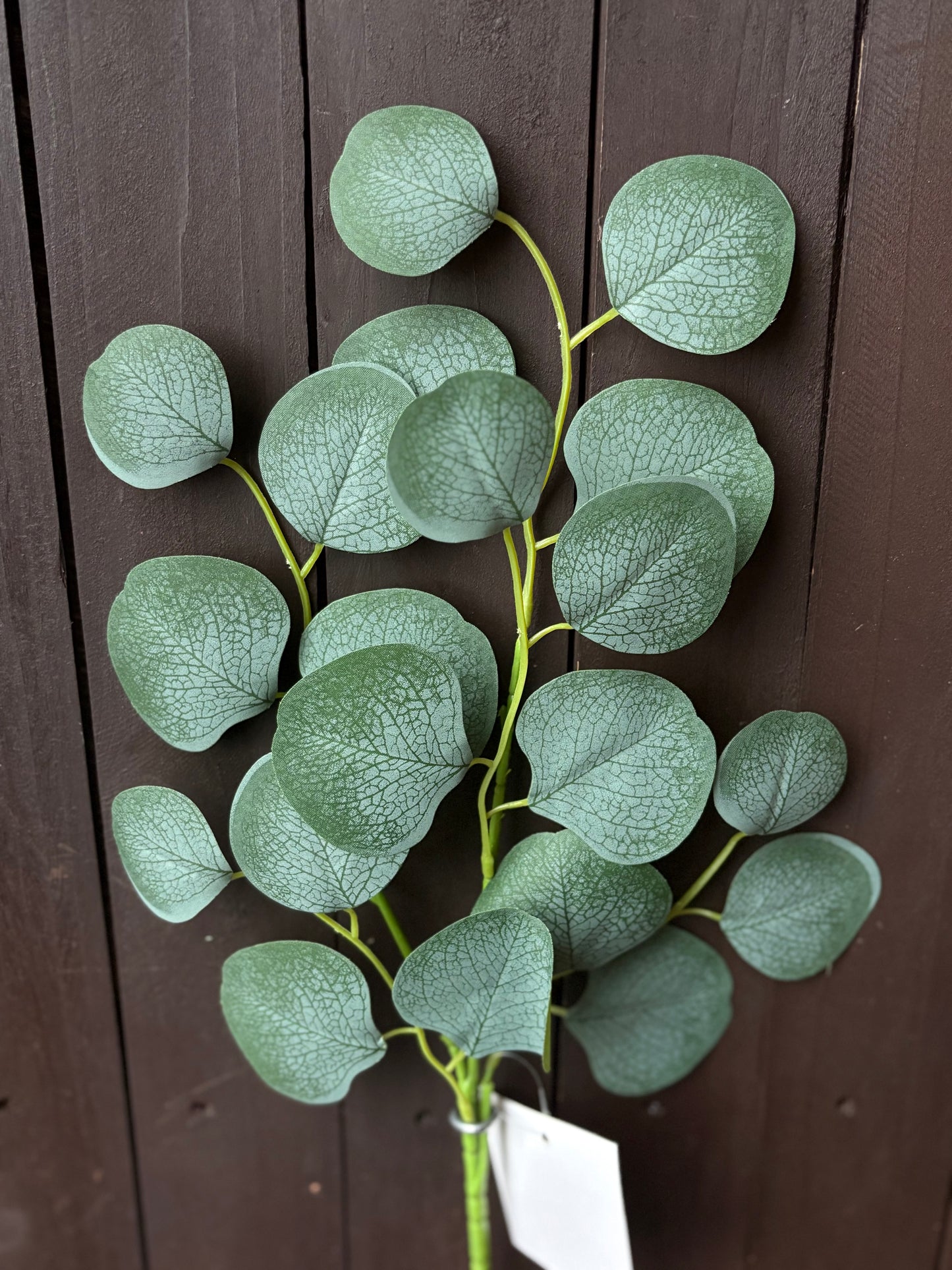 30cm MEDIUM EUCALYPUS LEAF SPRAY