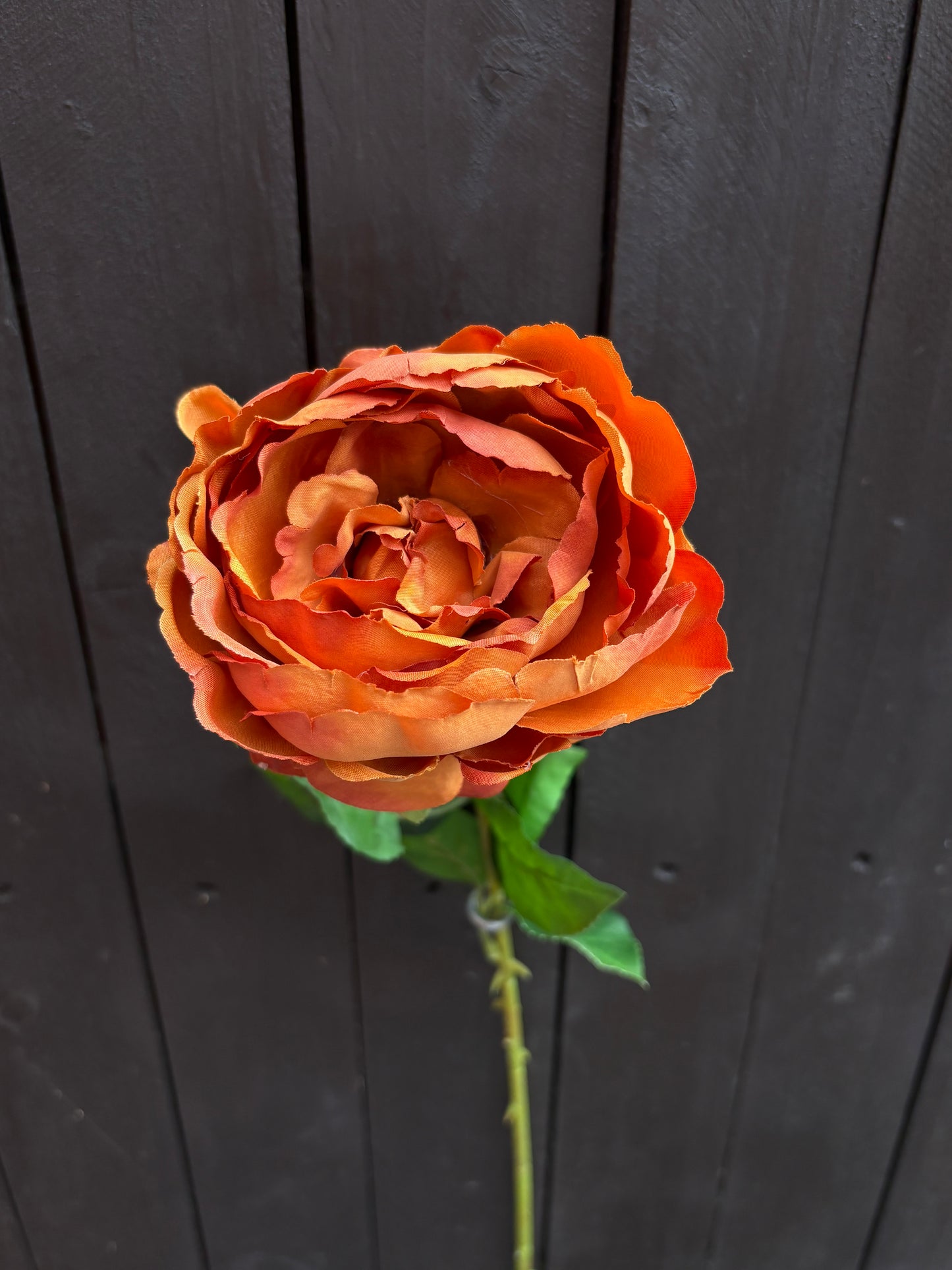 64cm SINGLE LOLA PEONY STEM ORANGE