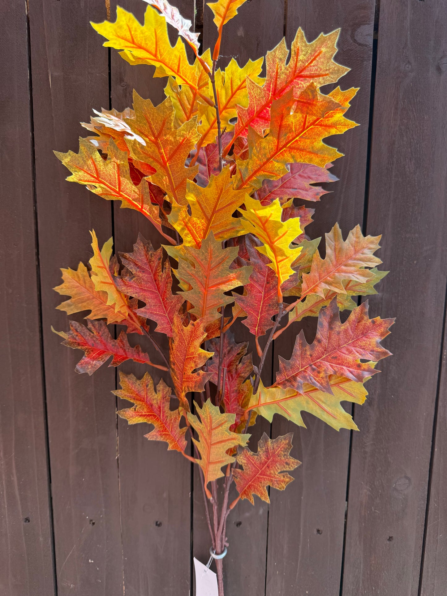 OAK LEAF SPRAY