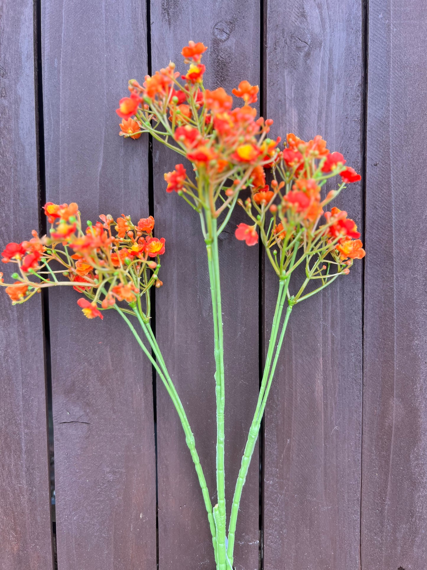 70cm CHLOE GYPSOPHILA ORANGE